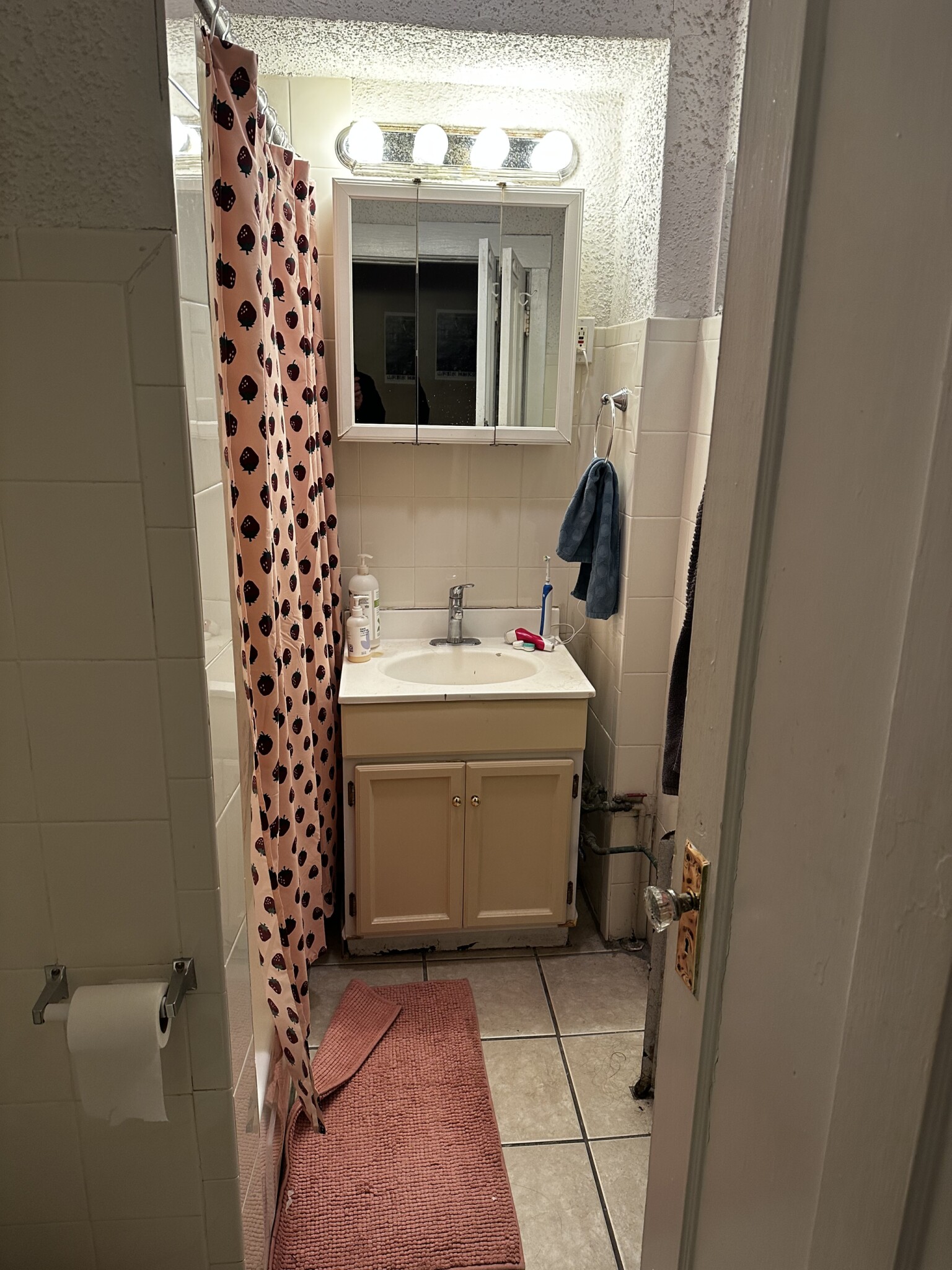 68 Egmont St, North Brookline