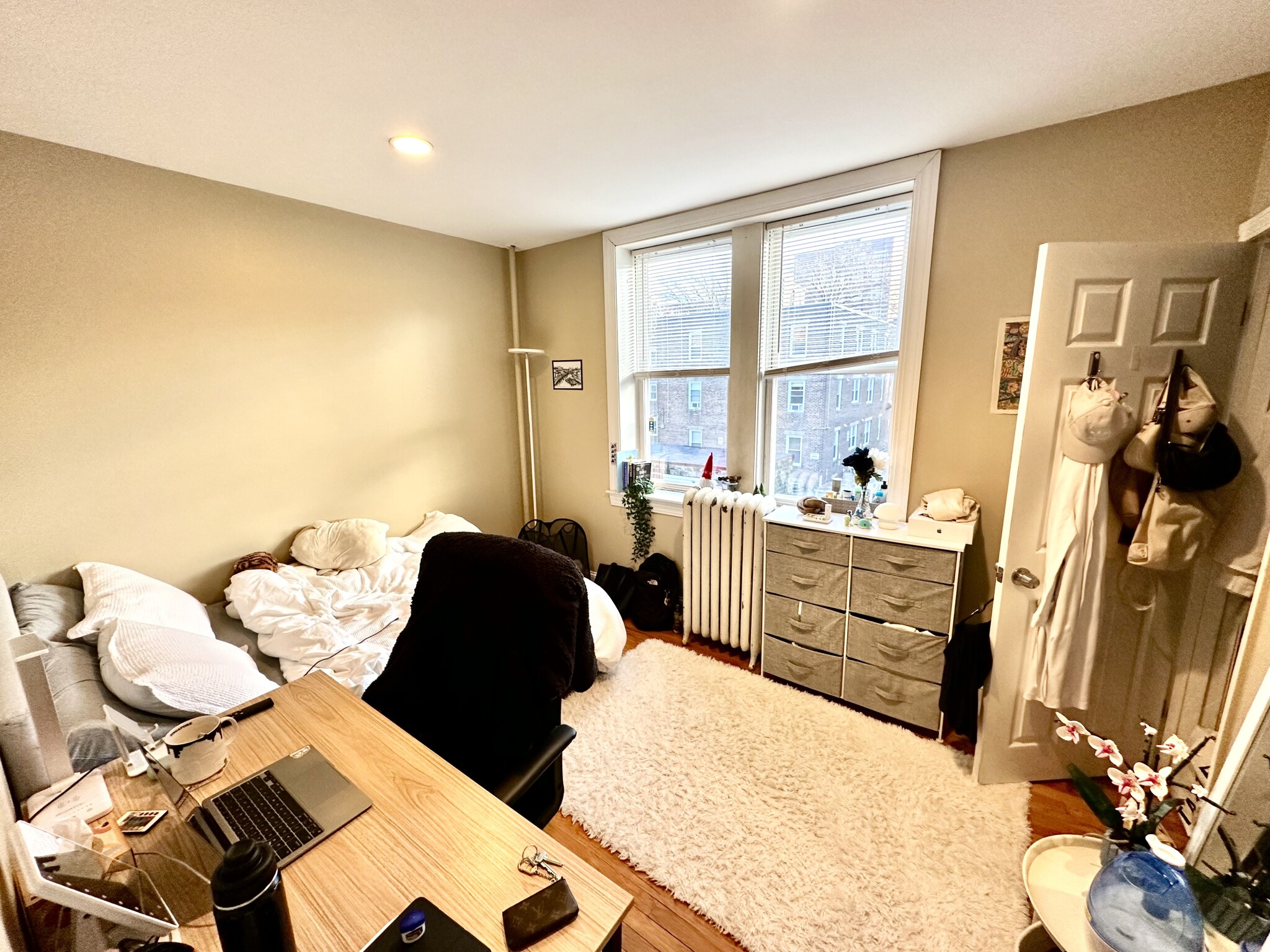 66 Egmont St, North Brookline