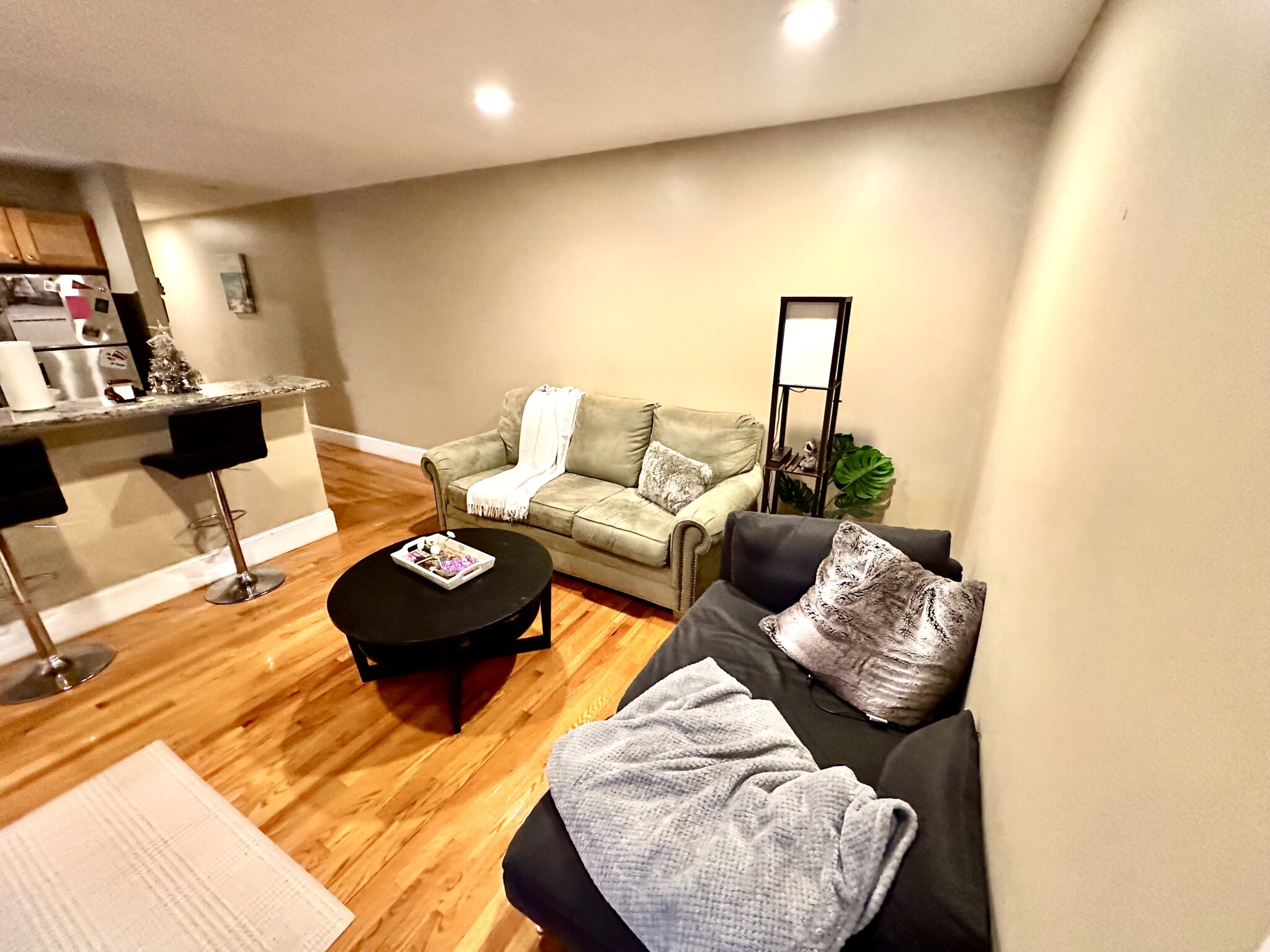 66 Egmont St, North Brookline