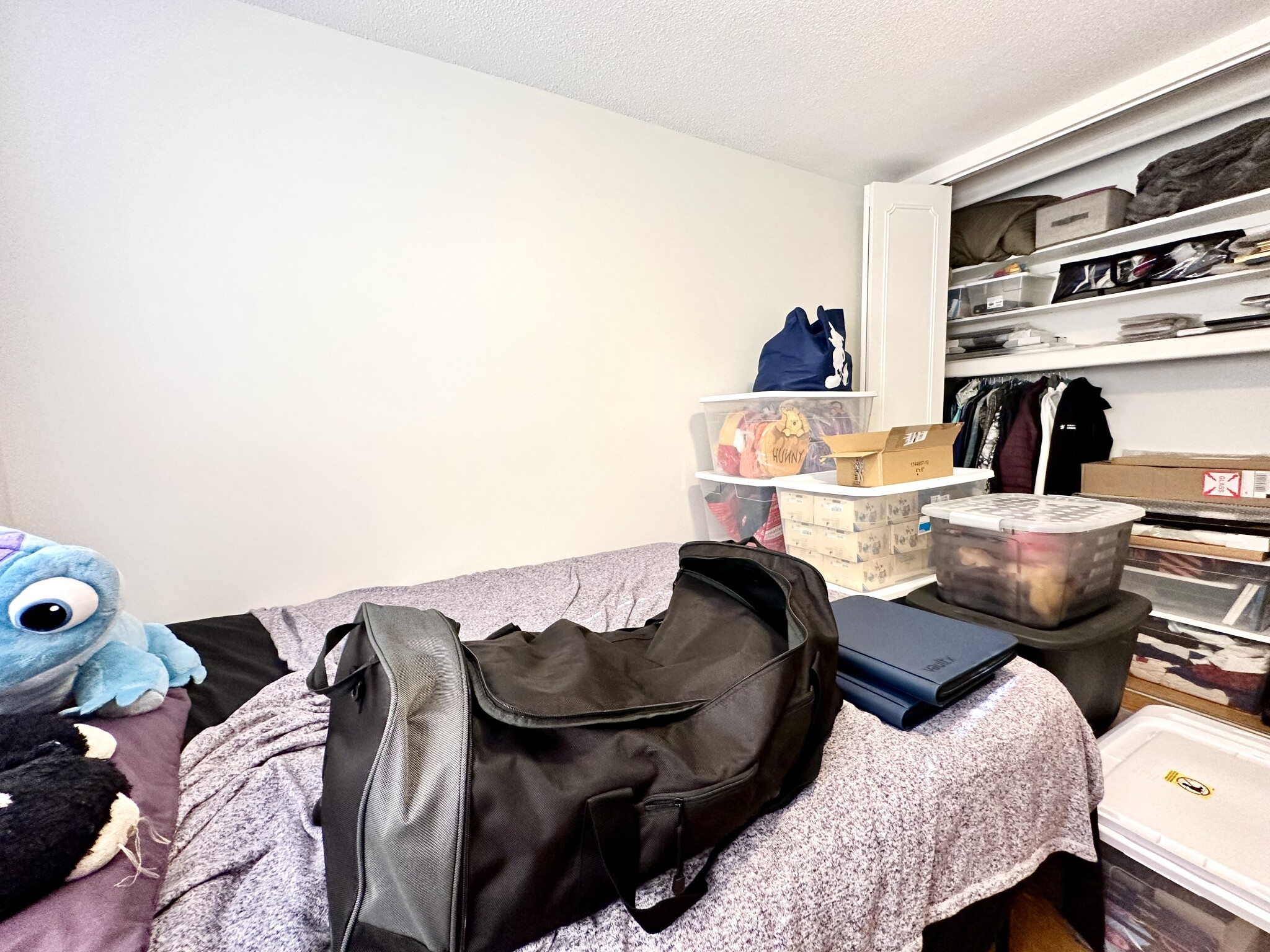 166 Lake Shore, Brighton