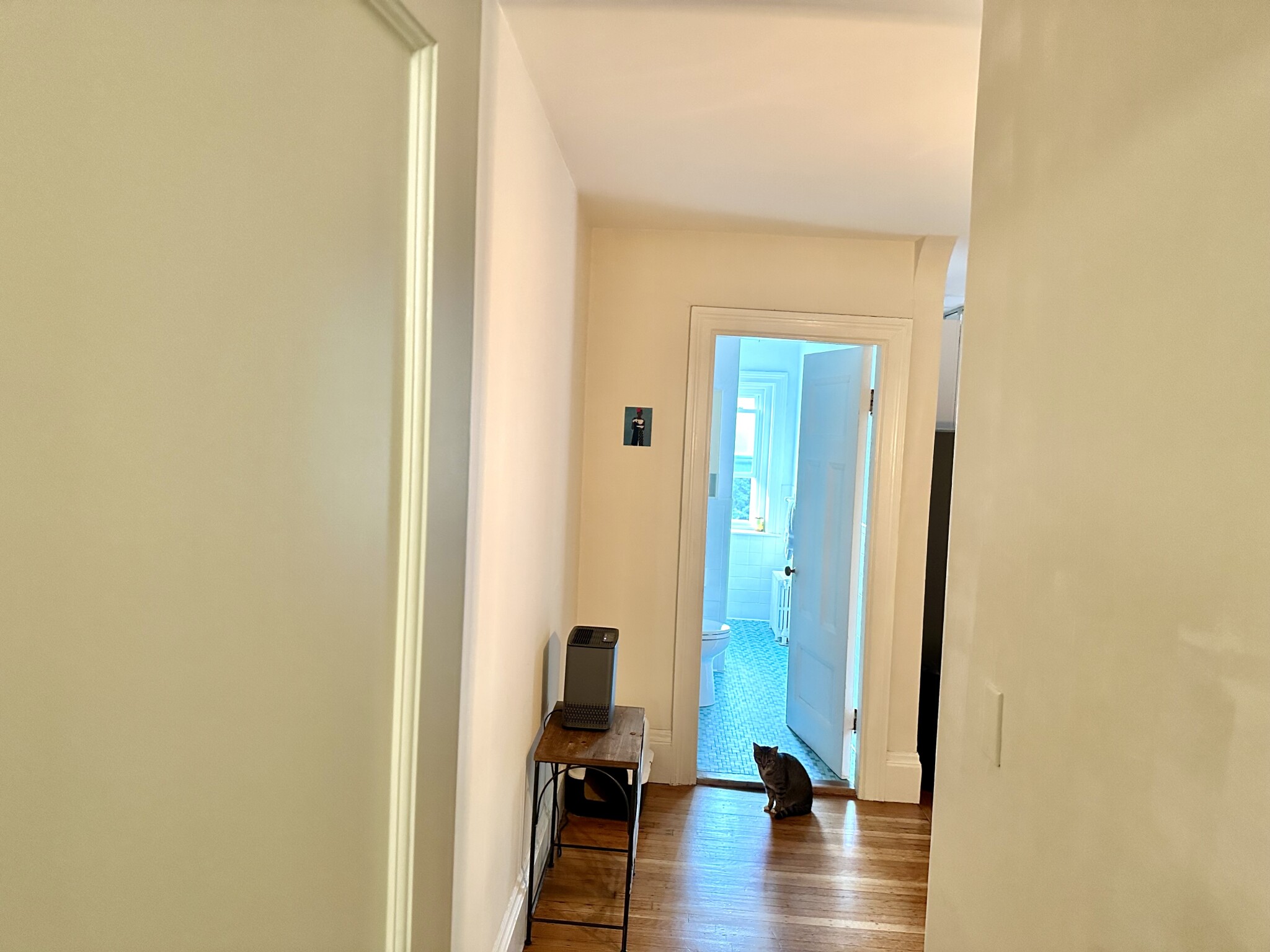 1748 Beacon St, Brookline