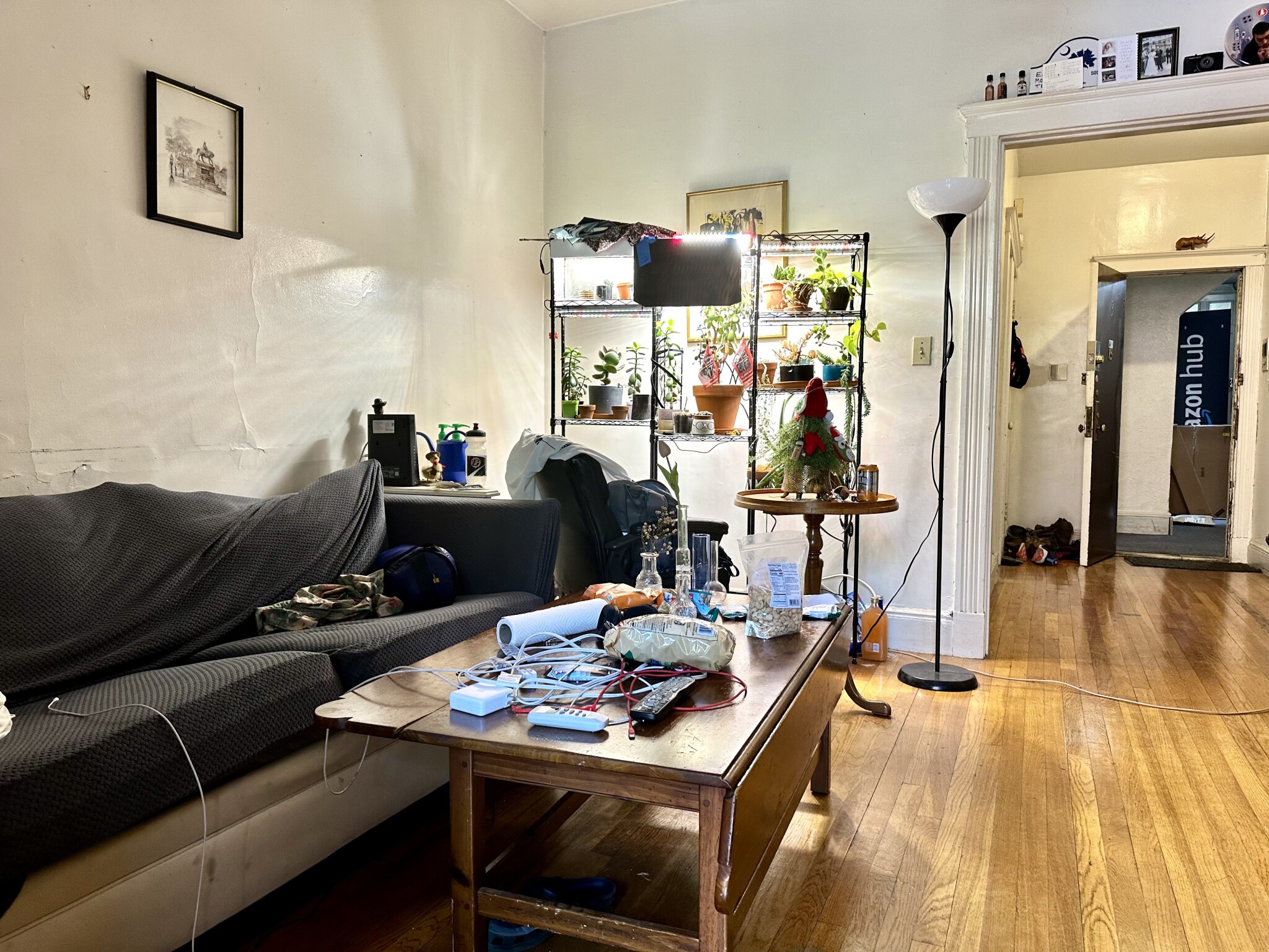 25 Mount Hood, Brighton