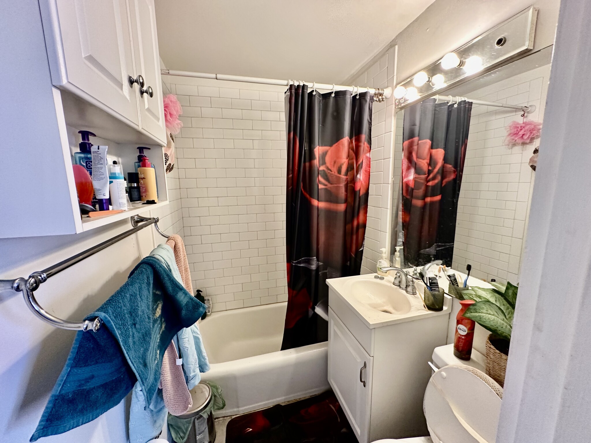 108 Myrtle St, Beacon Hill