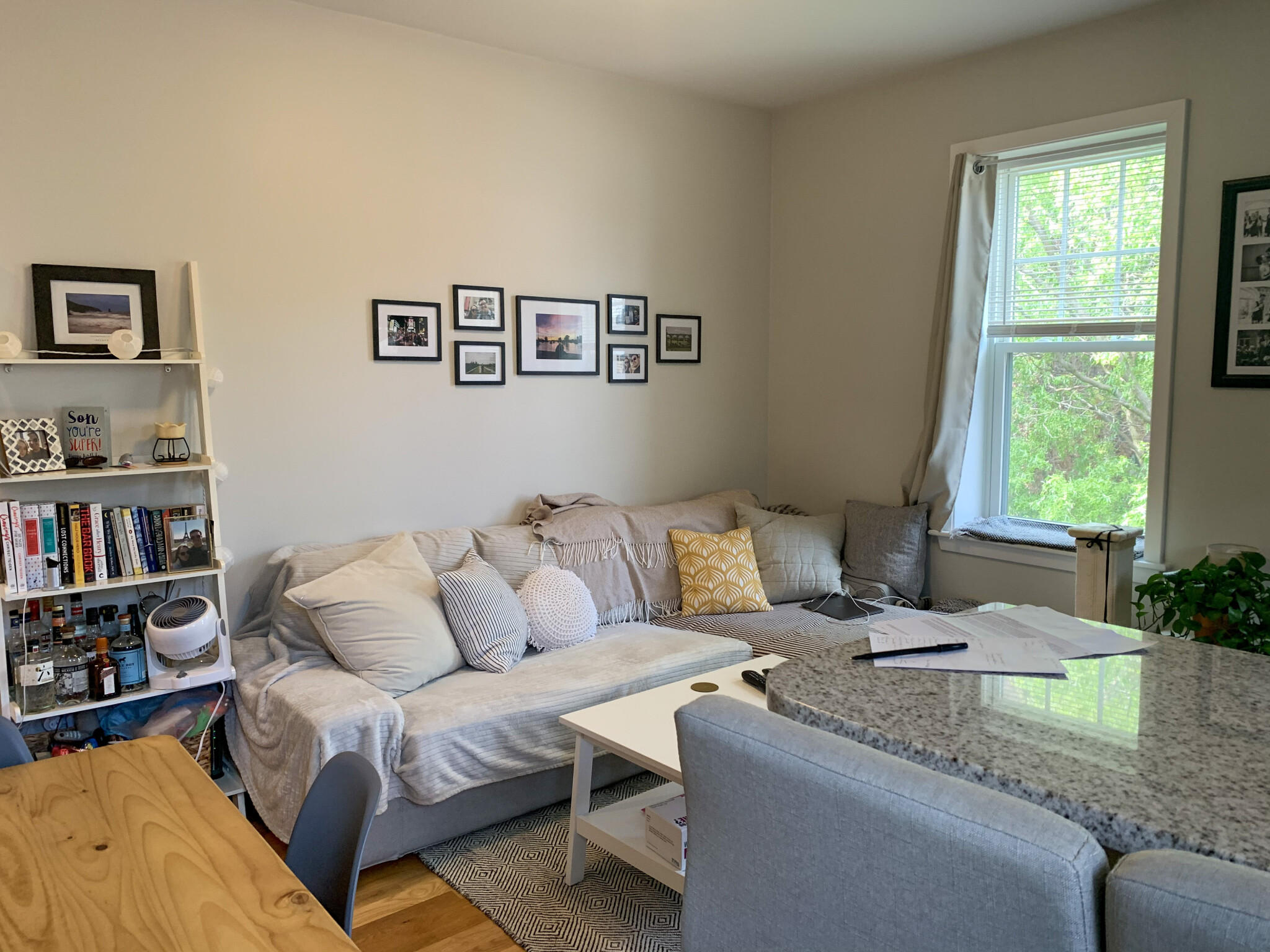 33 Anderson St, Beacon Hill