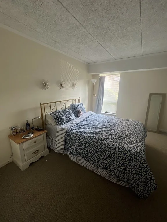 55 Broadlawn Park, Chestnut Hill