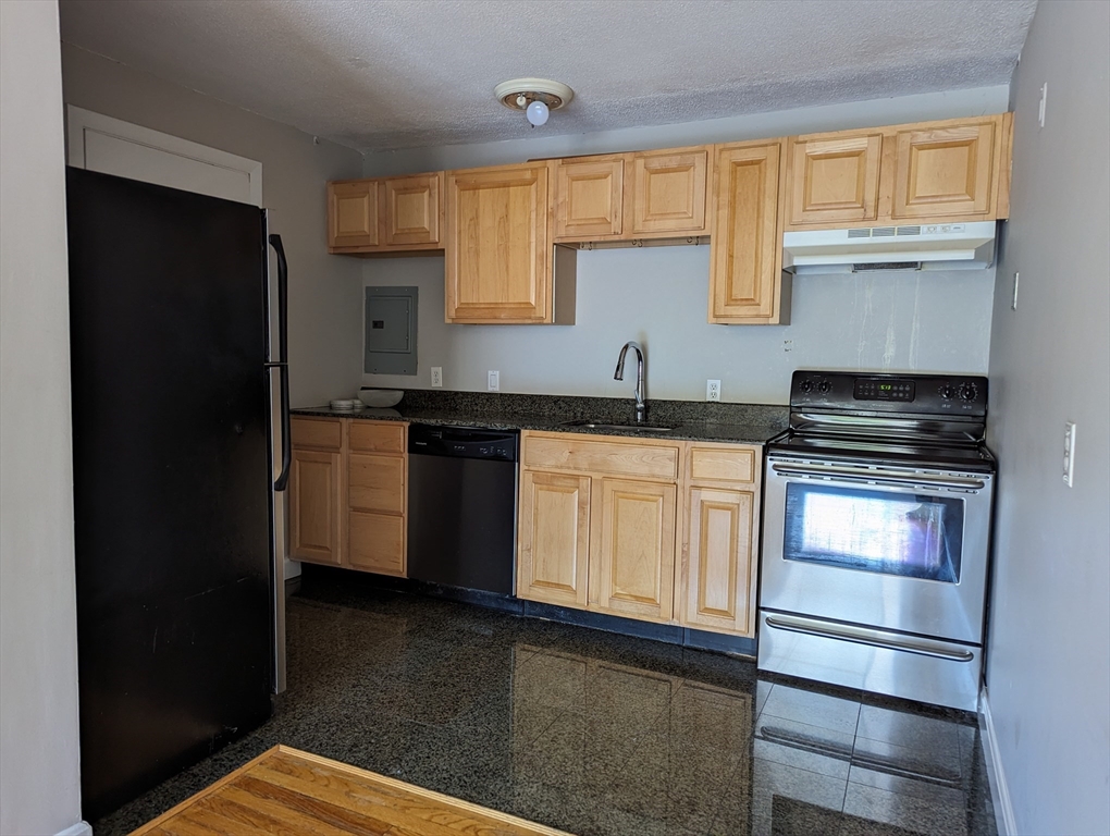 245 Kelton St, Brighton