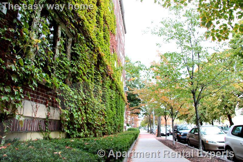 2 bed, 1 bath apartment for rent at 1558 Massachusetts Ave Unit 6, Harvard Square — photo 2 of 21