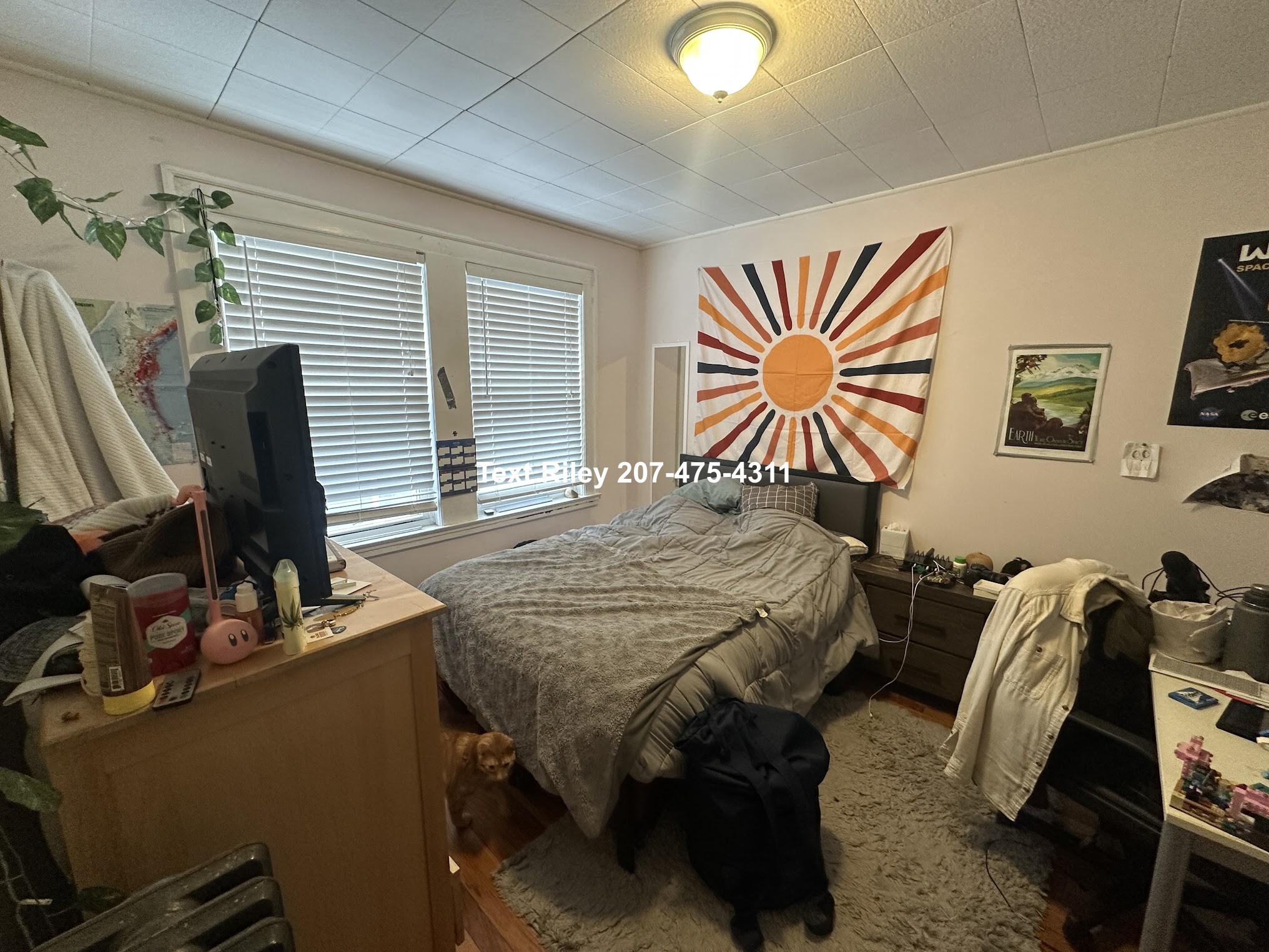 62 Brock St, Oak Square