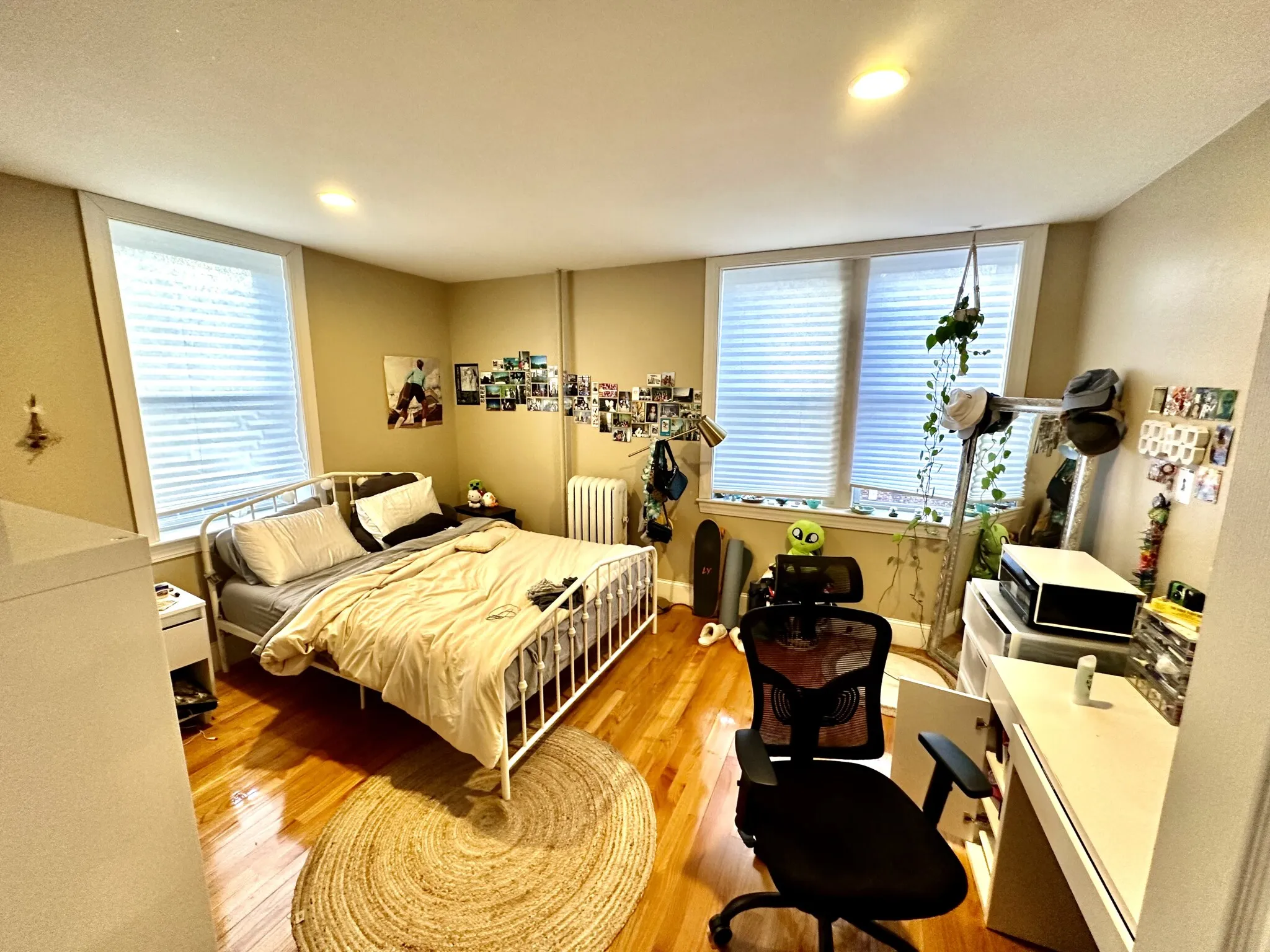 76 Egmont St, North Brookline