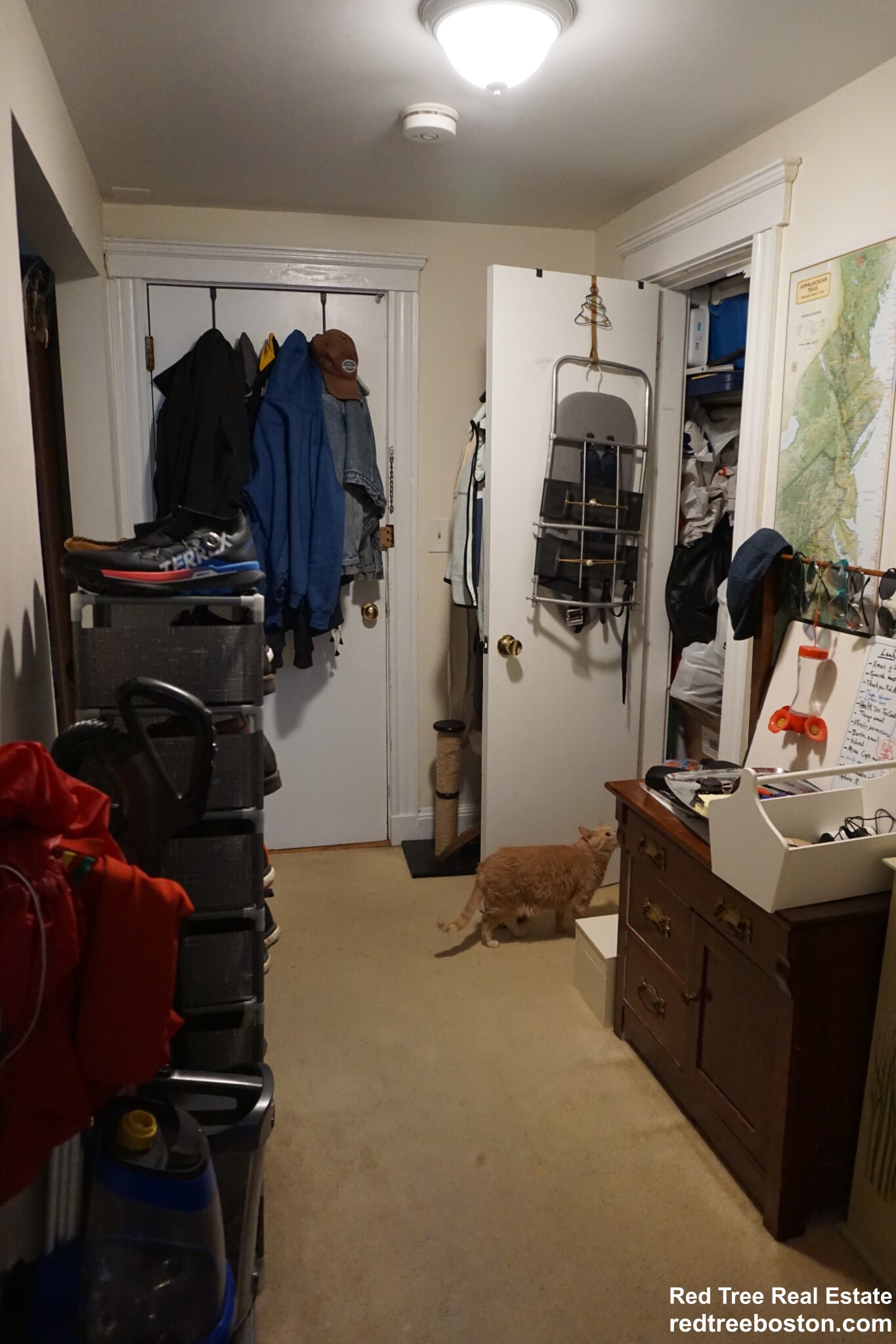 20 Colborne Rd, Brighton