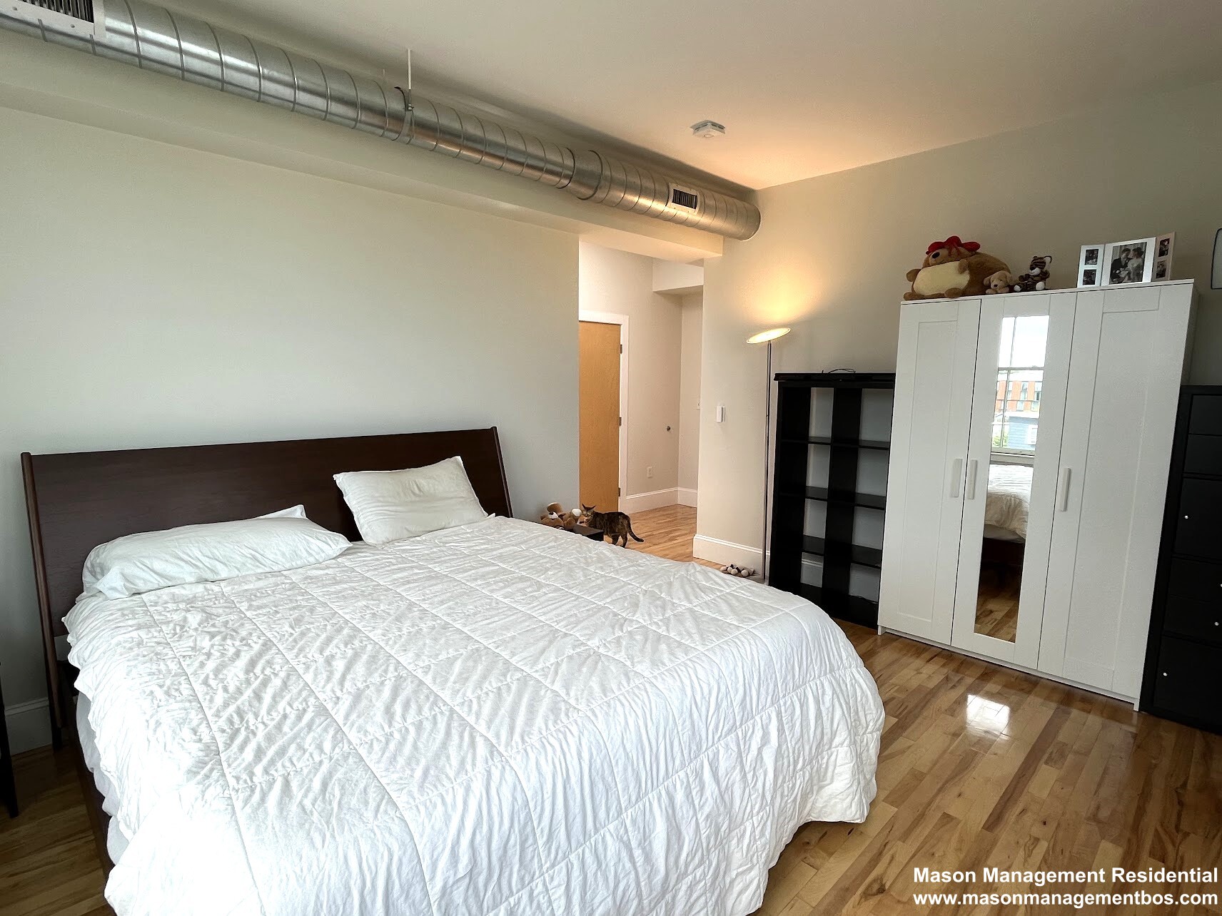 43 Park St, Ward Two