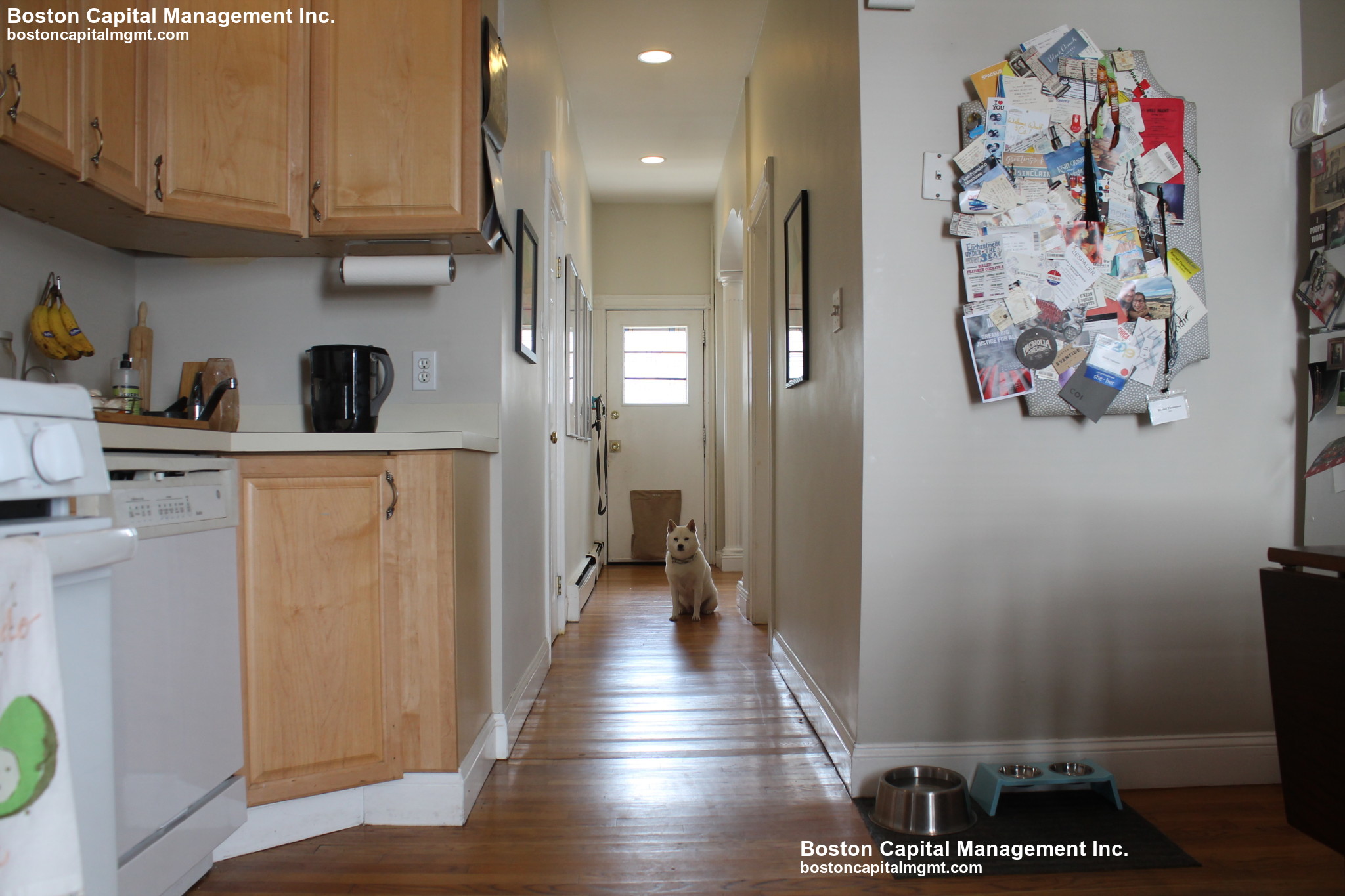 24 Portsmouth St, Wellington-Harrington