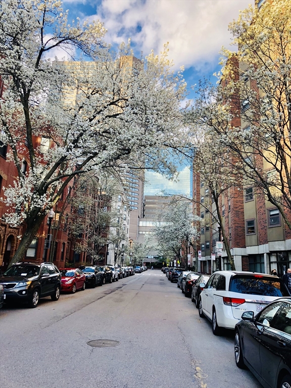 8 Garrison St, Back Bay