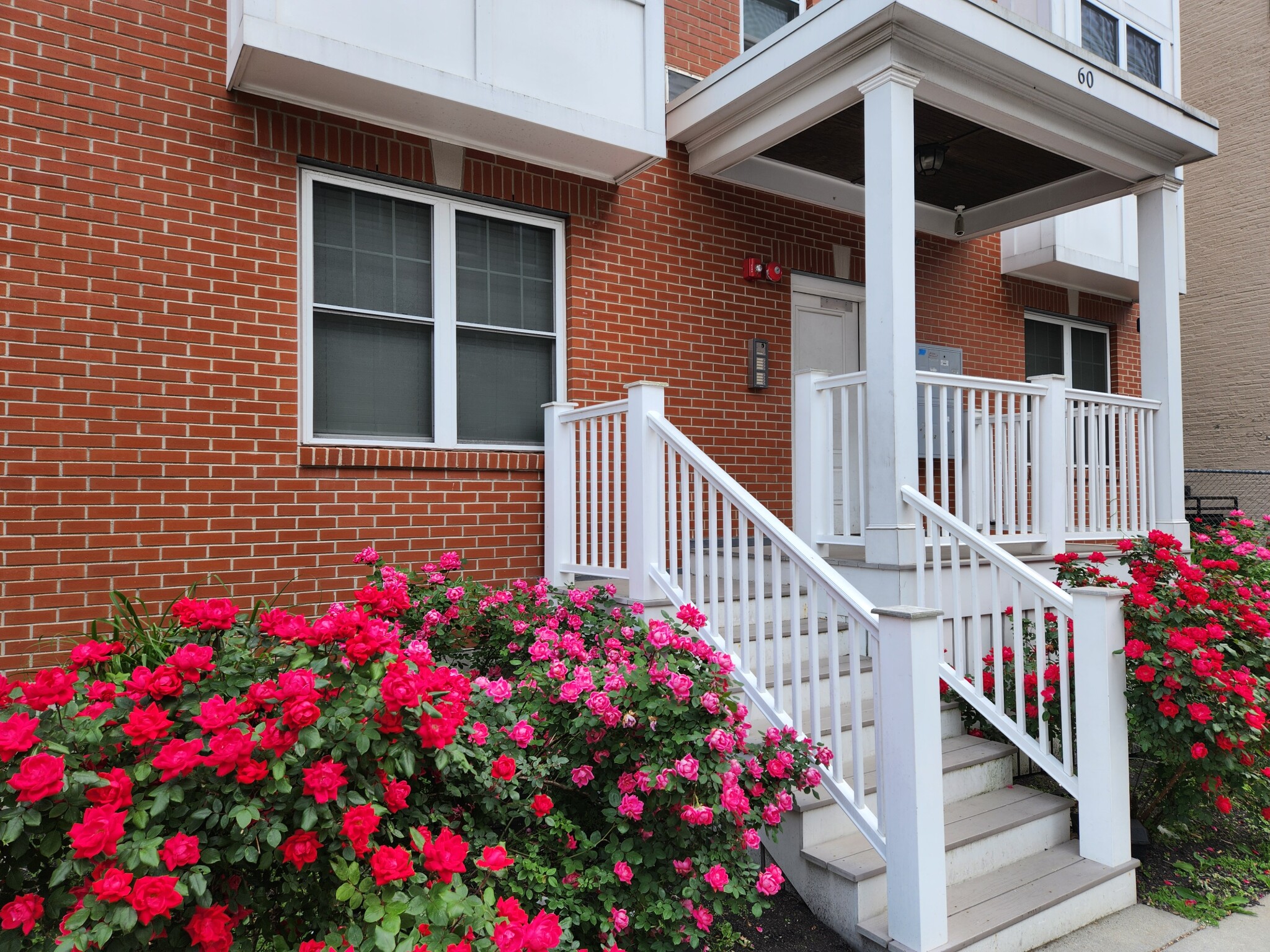 60 Holworthy St, Roxbury