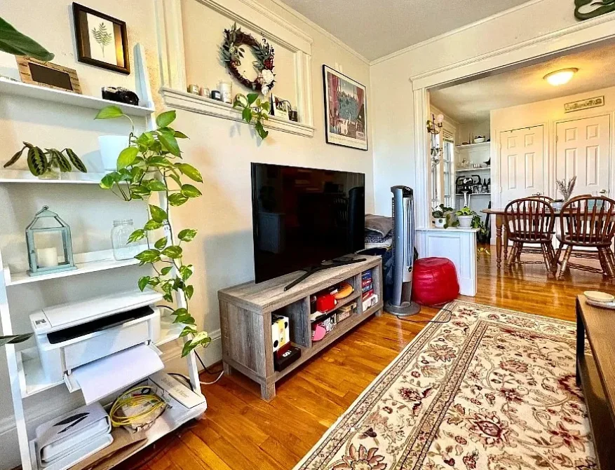 223 Summer St, Spring Hill