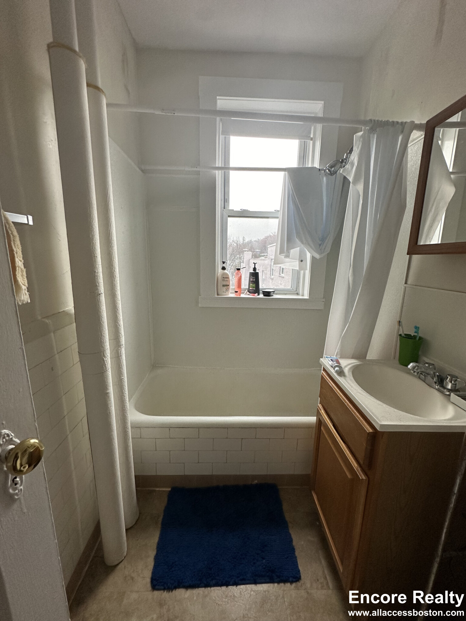 8 Vinal St, Brighton