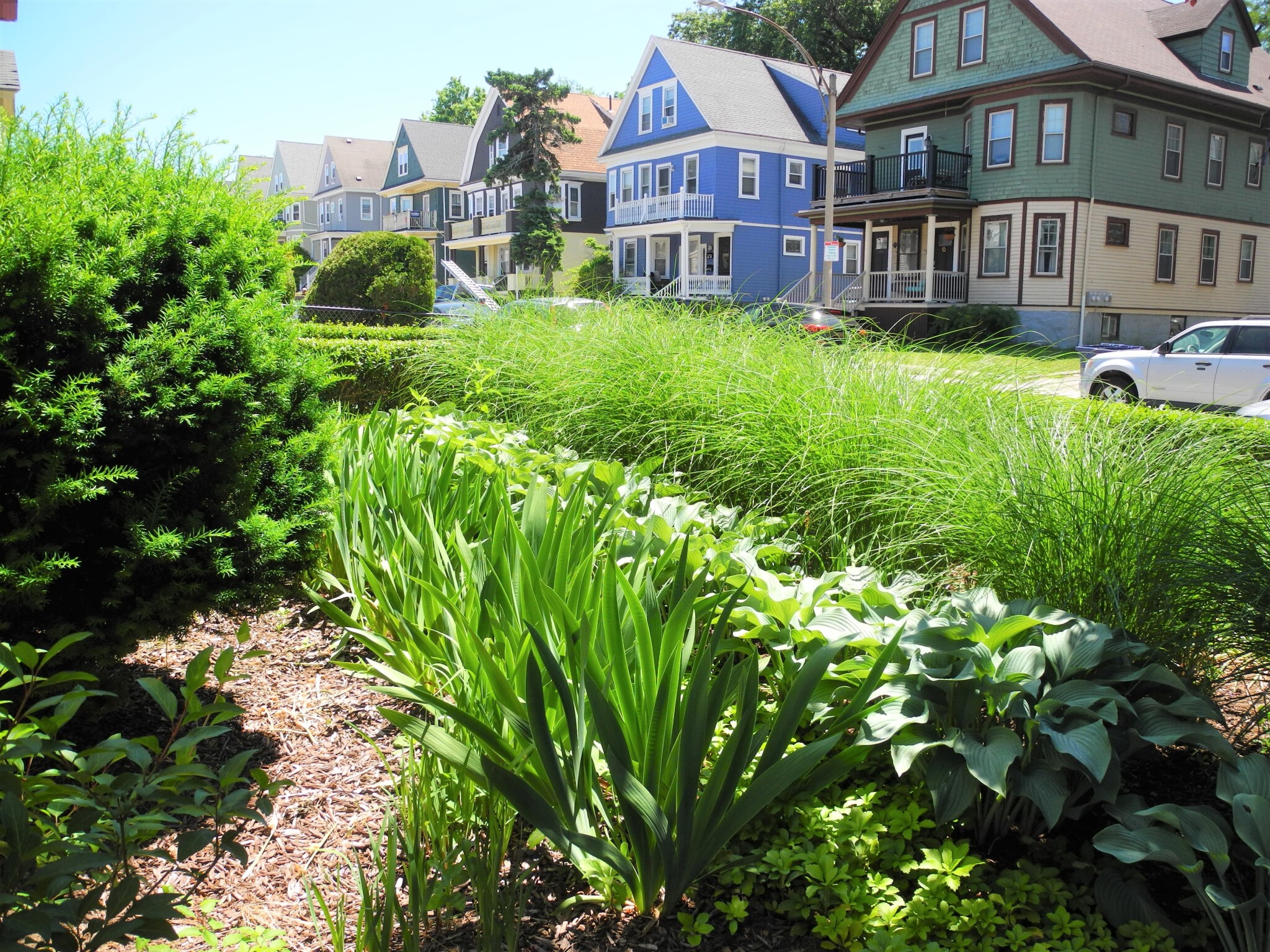 8 Mapleton, Brighton