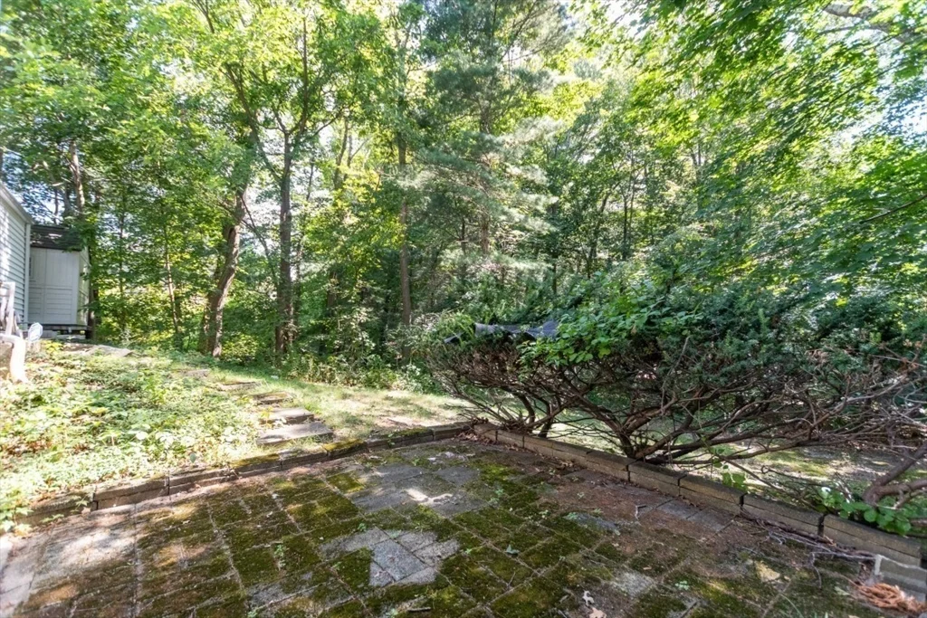 15 Lexington St, Burlington