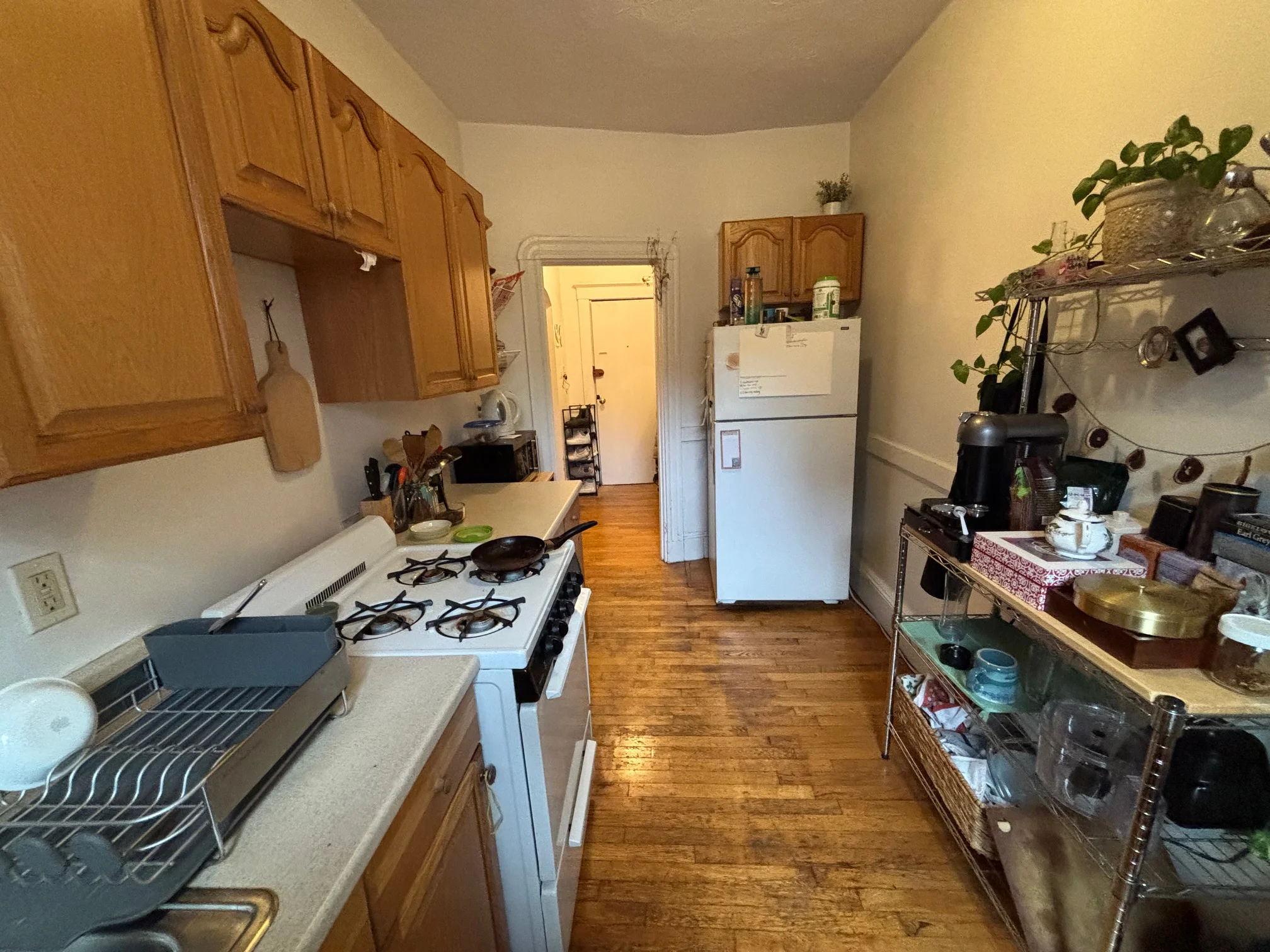 7 Grove St, Beacon Hill