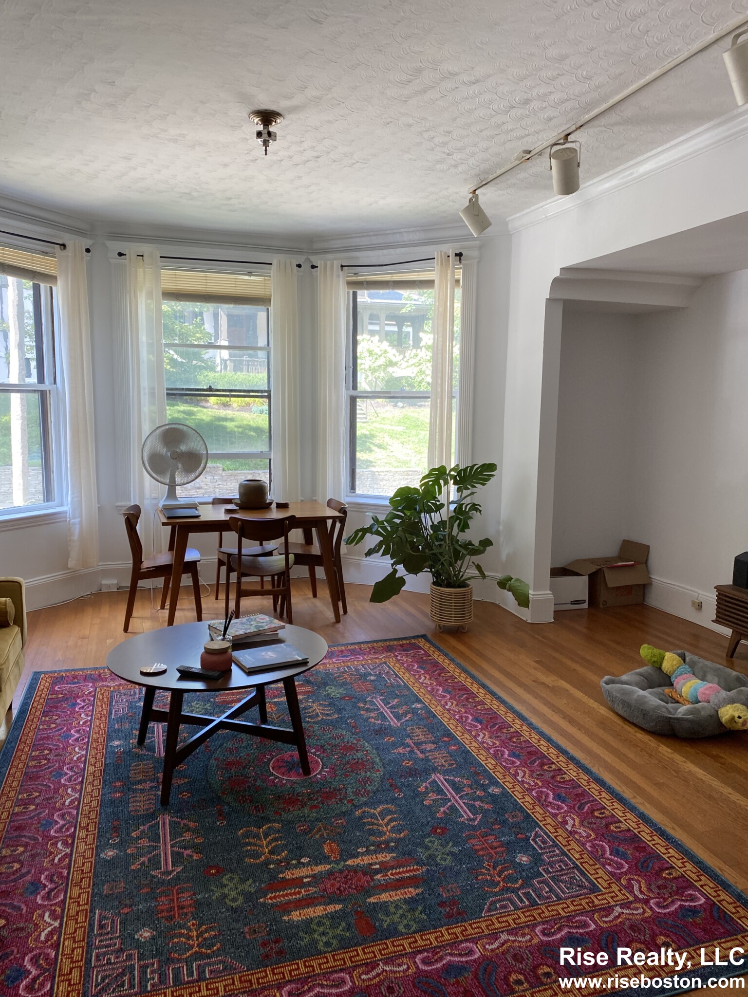 1 bed, 1 bath apartment for rent at 87 Mason Ter Unit 1, Coolidge Corner — photo 2 of 4