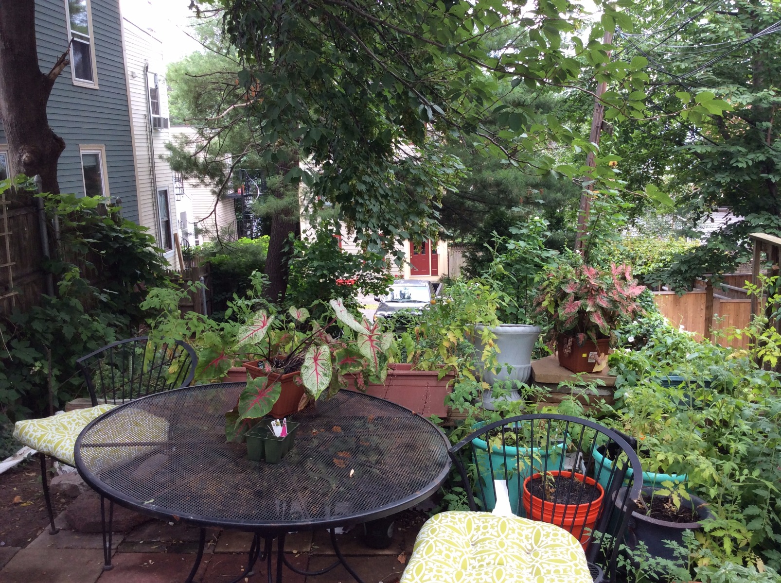 27 Auburn St, Charlestown