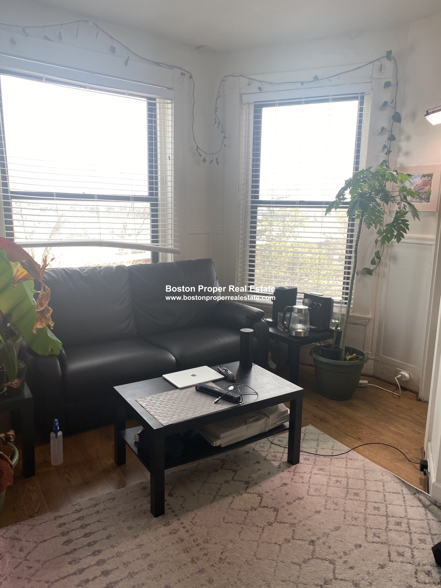 27 Bay State Rd, Fenway