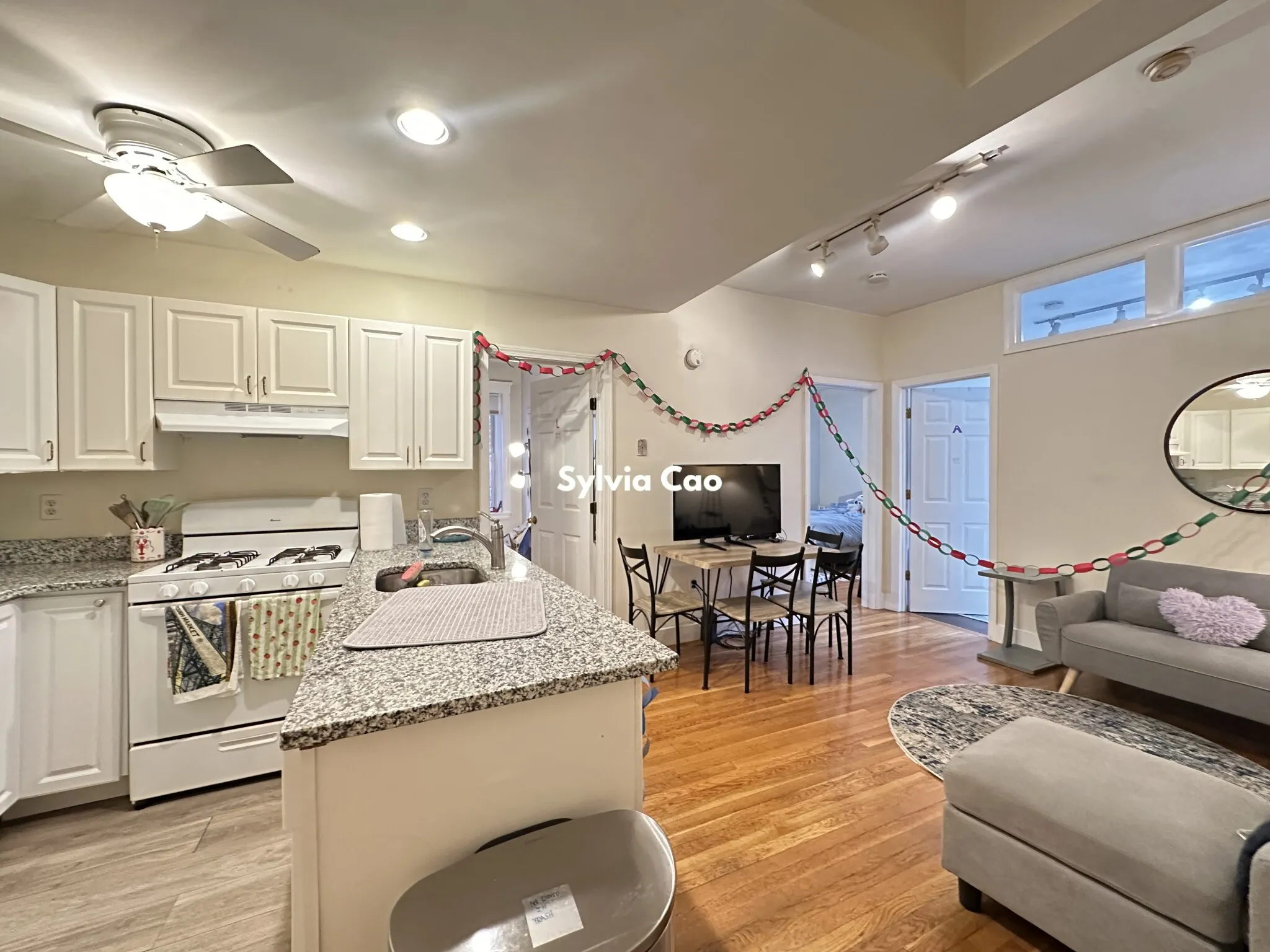 62 Egmont St, North Brookline