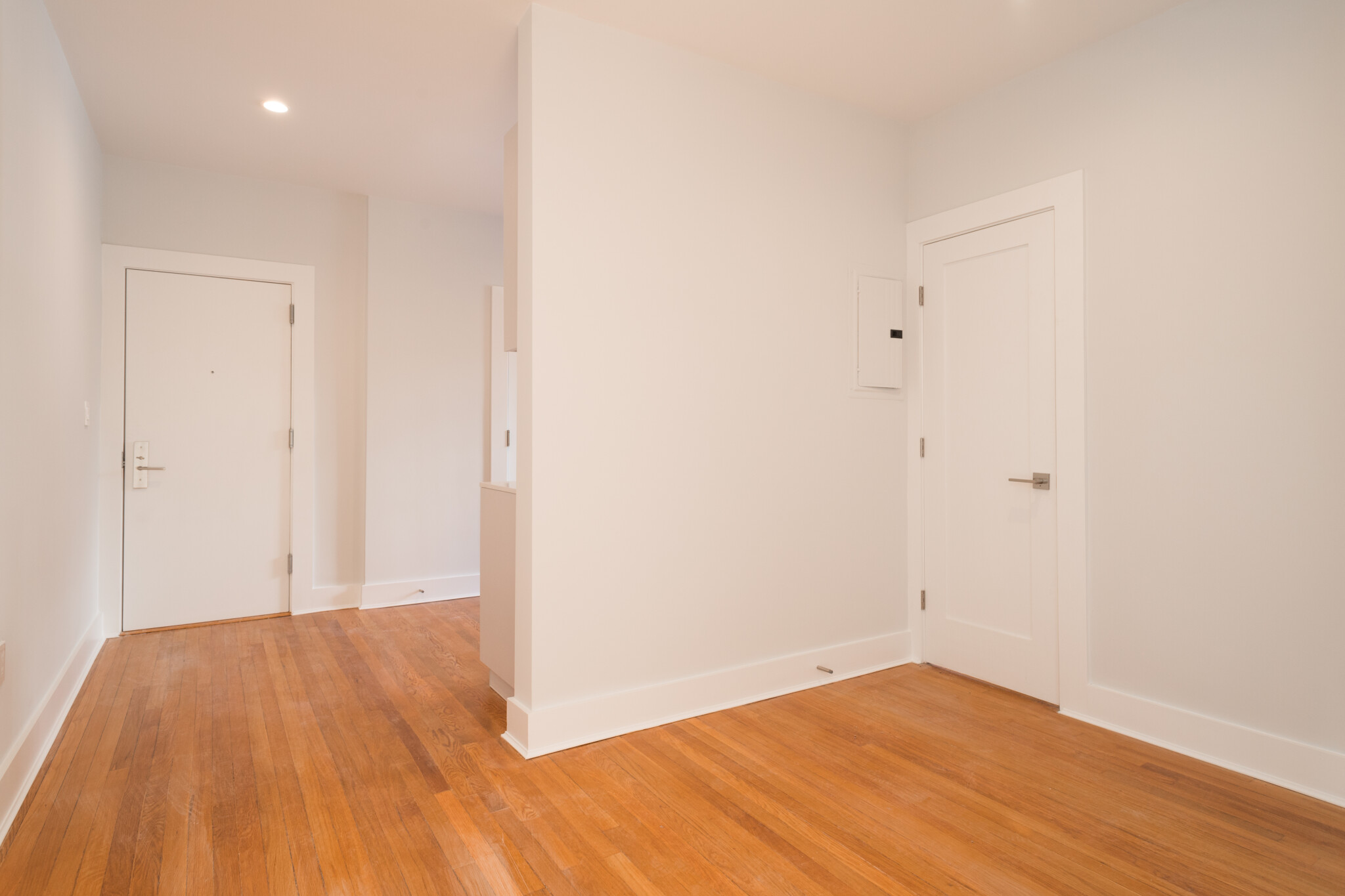 17a Forest St, Baldwin