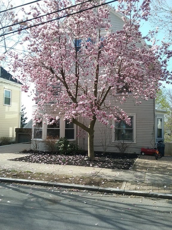 46 York Ter, Corey Hill