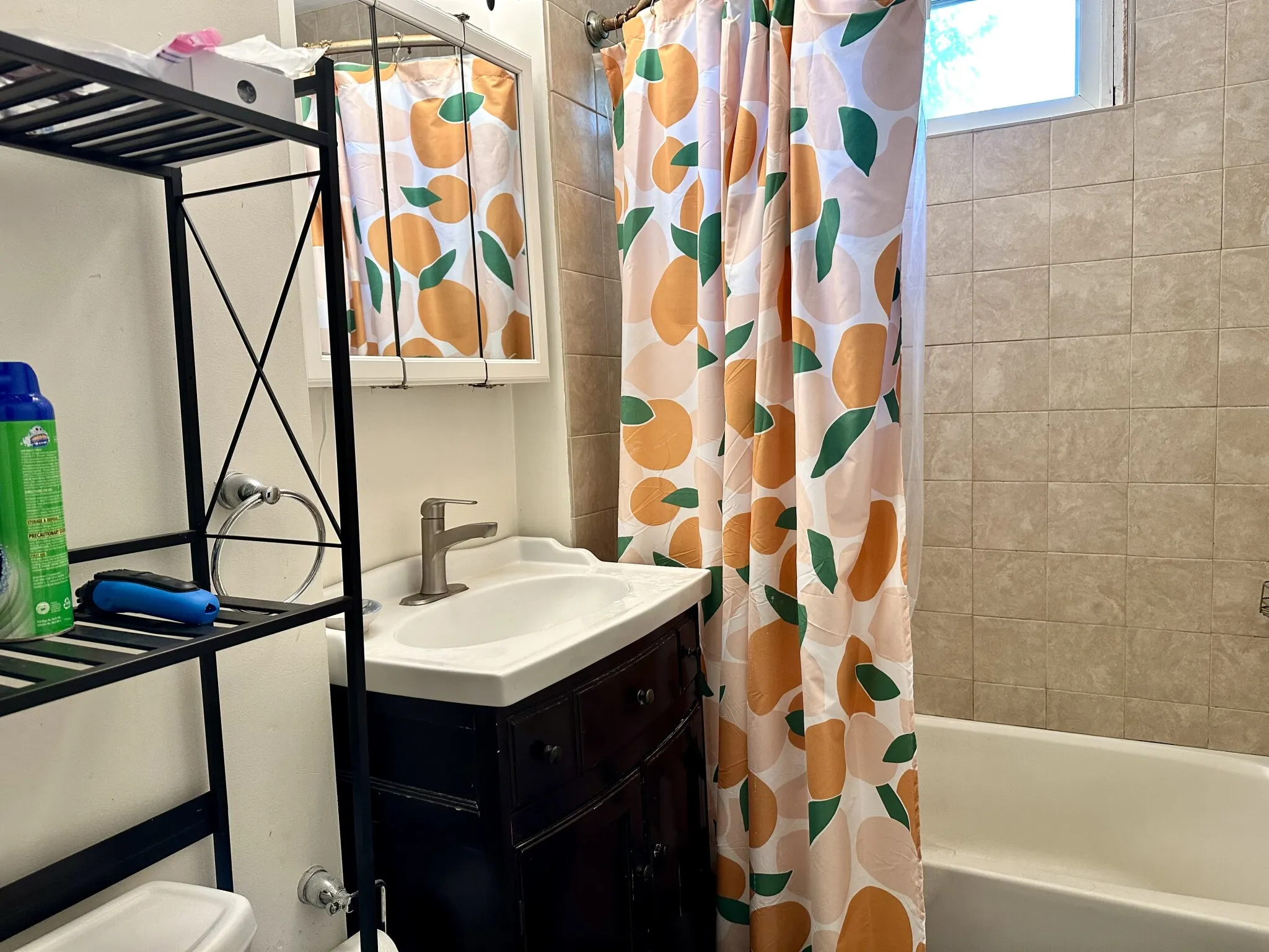 223 Summer St, Spring Hill