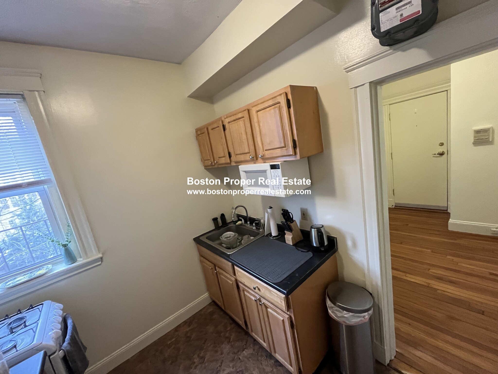 124 Peterborough St, Fenway