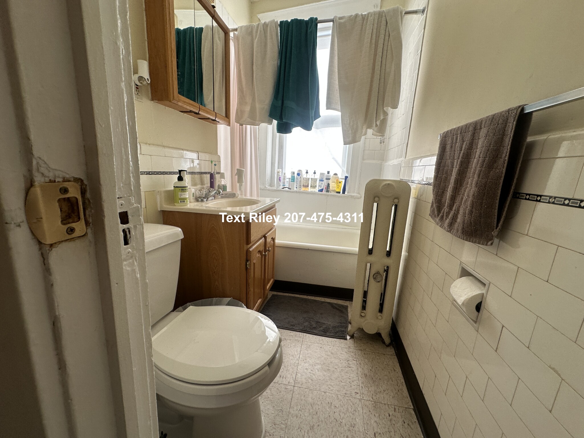 170 Kelton St, Brighton