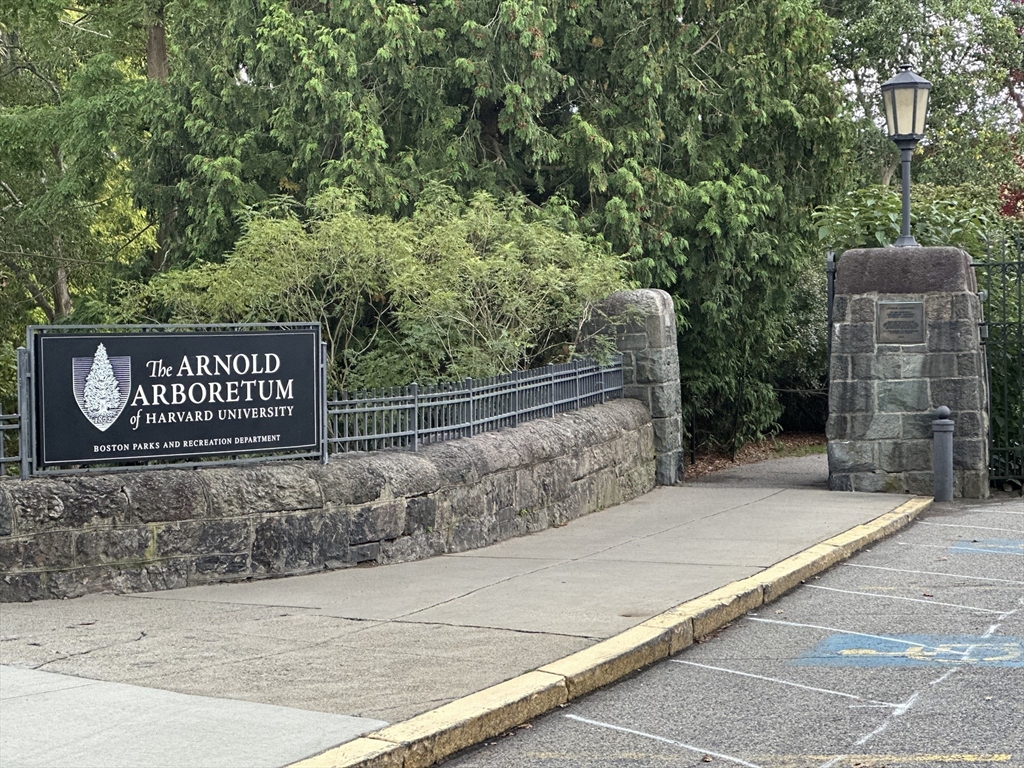 9 South St, Jamaica Plain