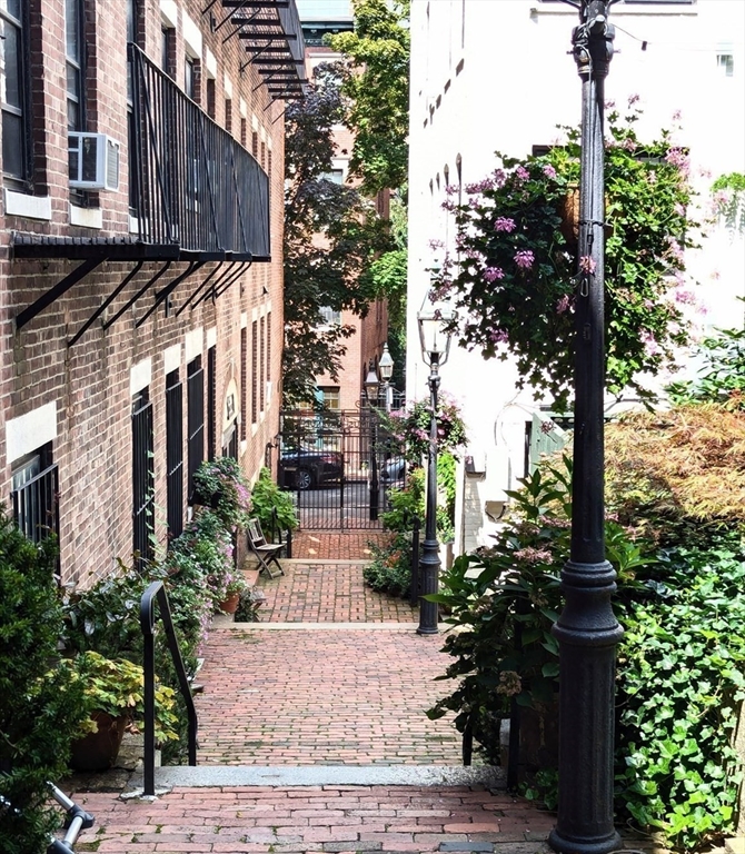 7 Primus, Beacon Hill