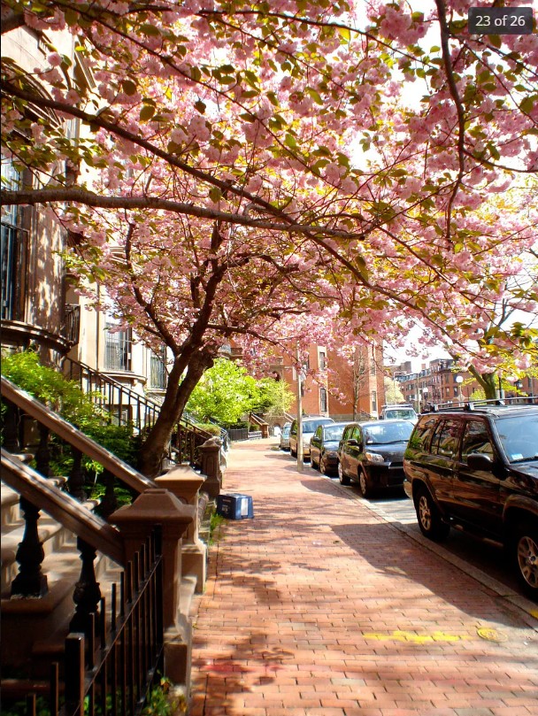 540 Massachusetts Ave, Back Bay