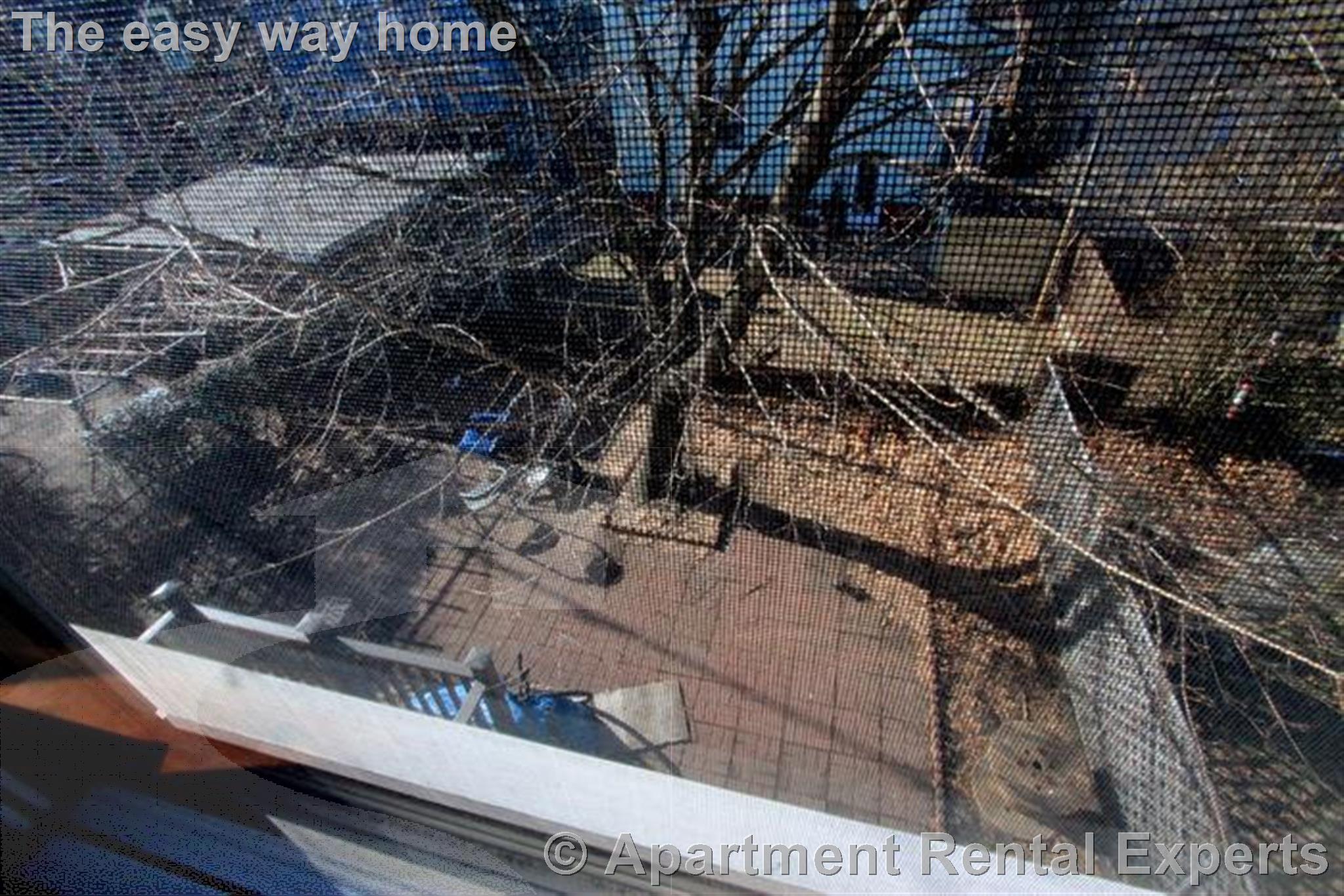 24 Rossmore St, Union Square