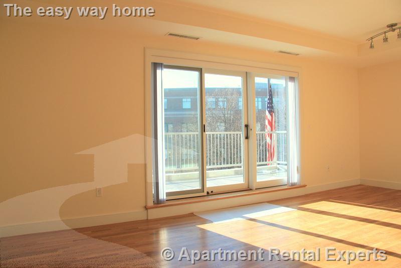 377 Summer St, Davis Square