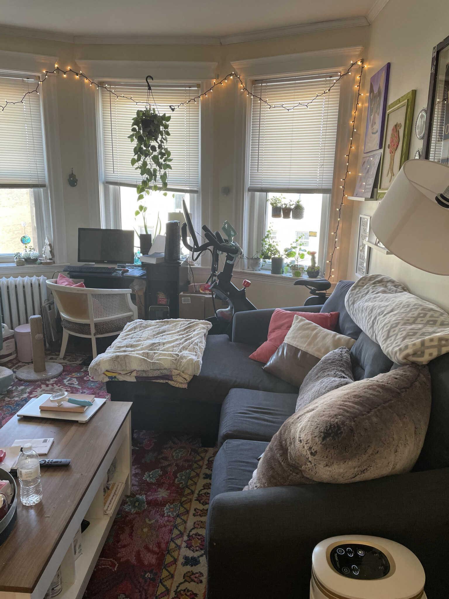 1637 Commonwealth Ave, Brighton