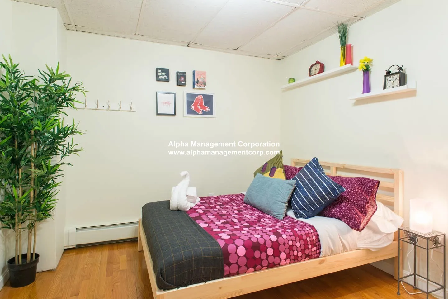 43 Bay State Rd, Fenway