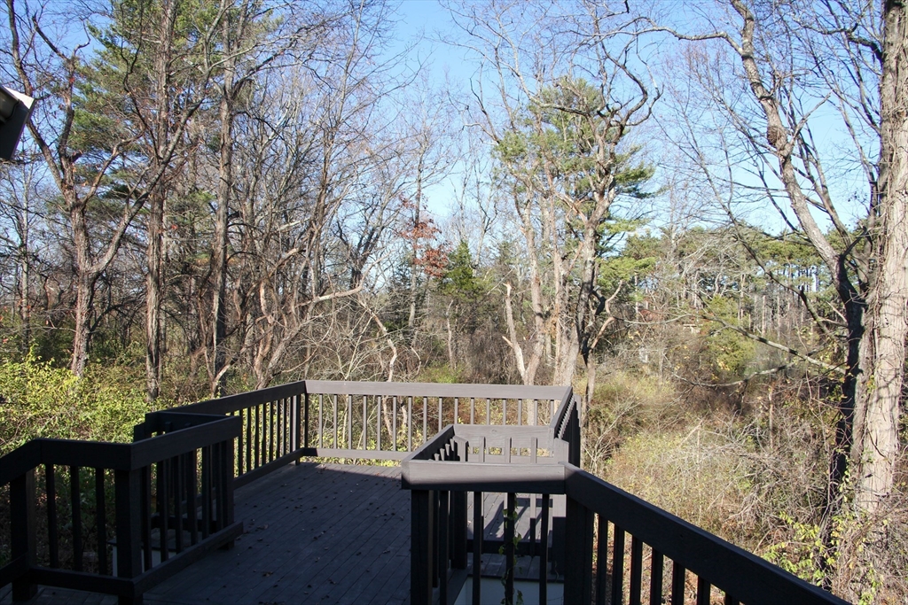 151 Argilla Rd, Ipswich