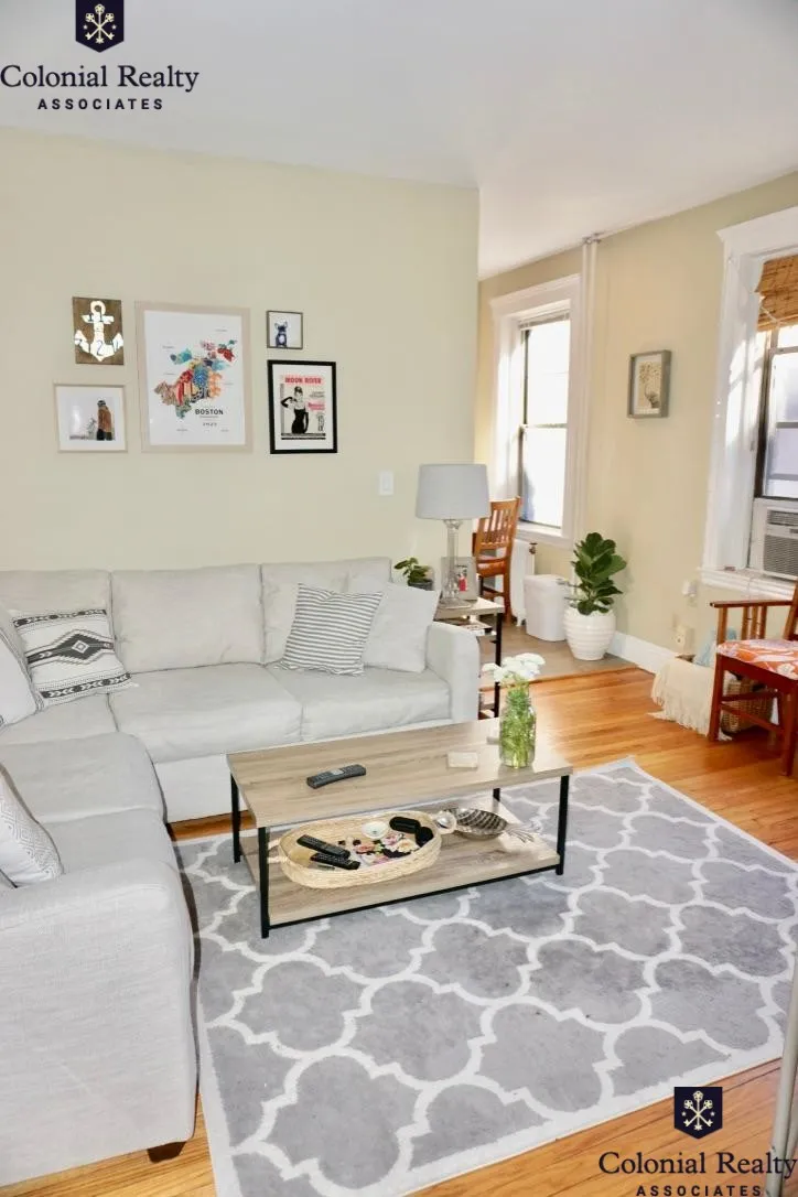 370 Chestnut Hill Ave, Brighton