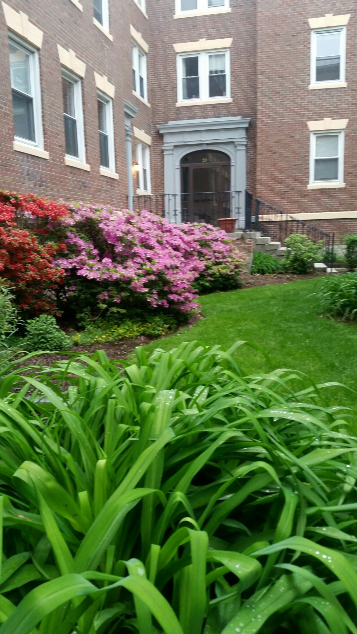 53 Manchester Rd, North Brookline