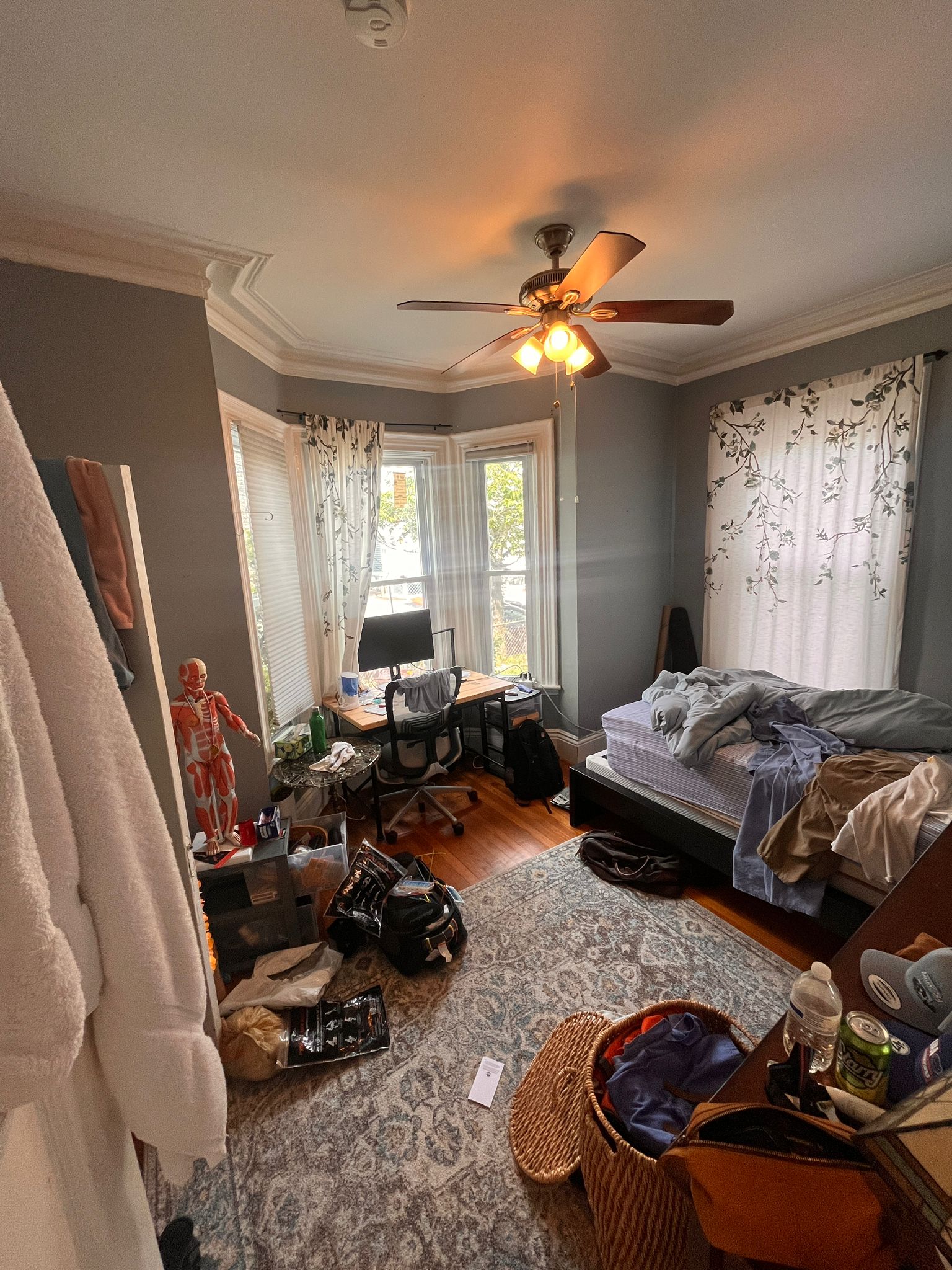 39 Springfield St, Inman Square