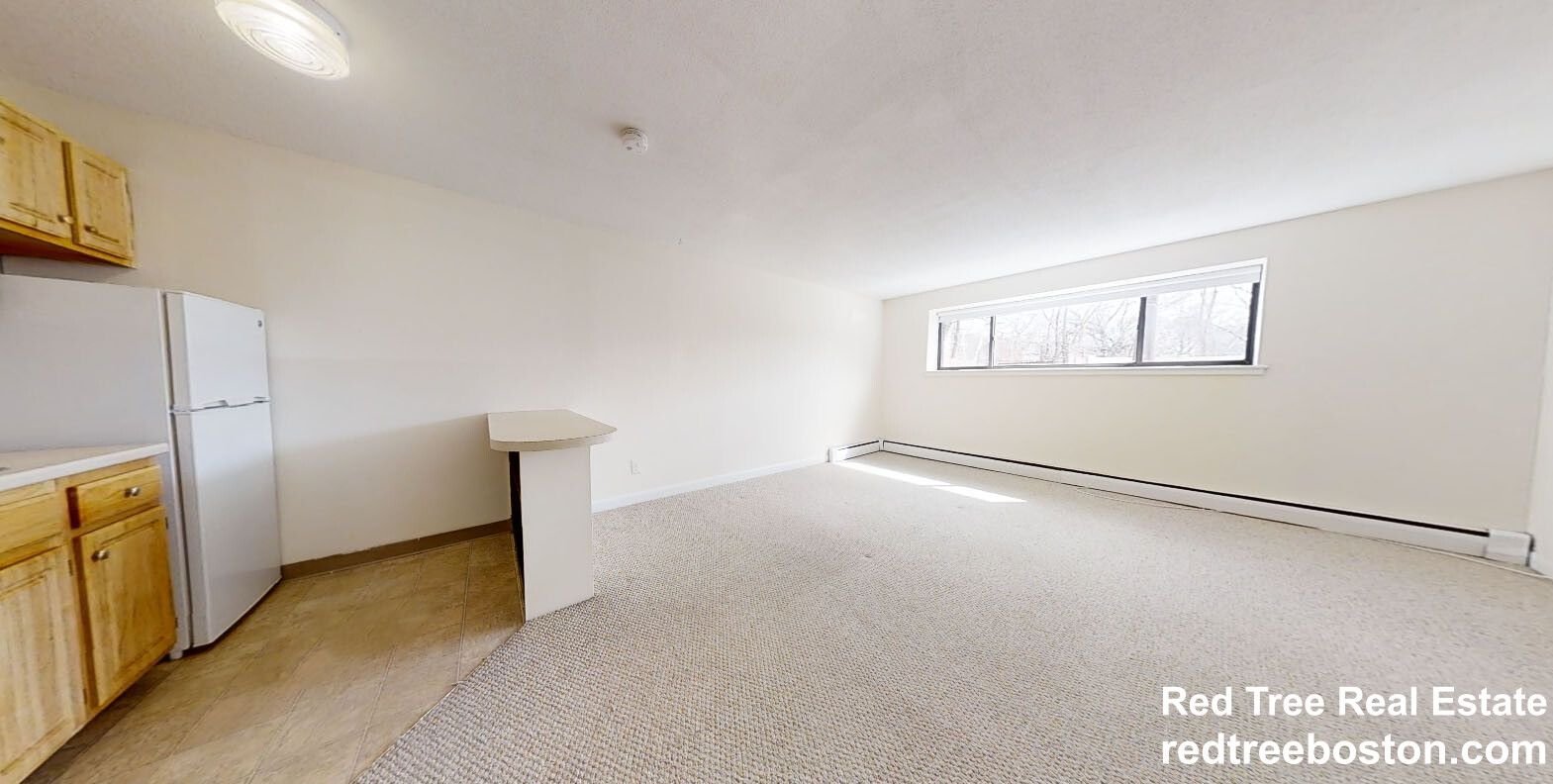 66 Homer Ave, West Cambridge