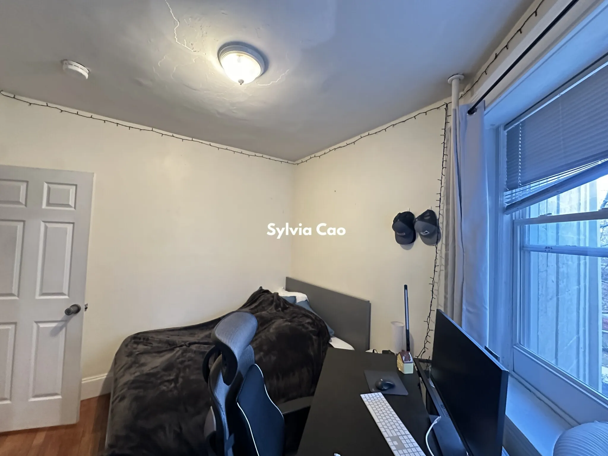 56 Egmont St, North Brookline