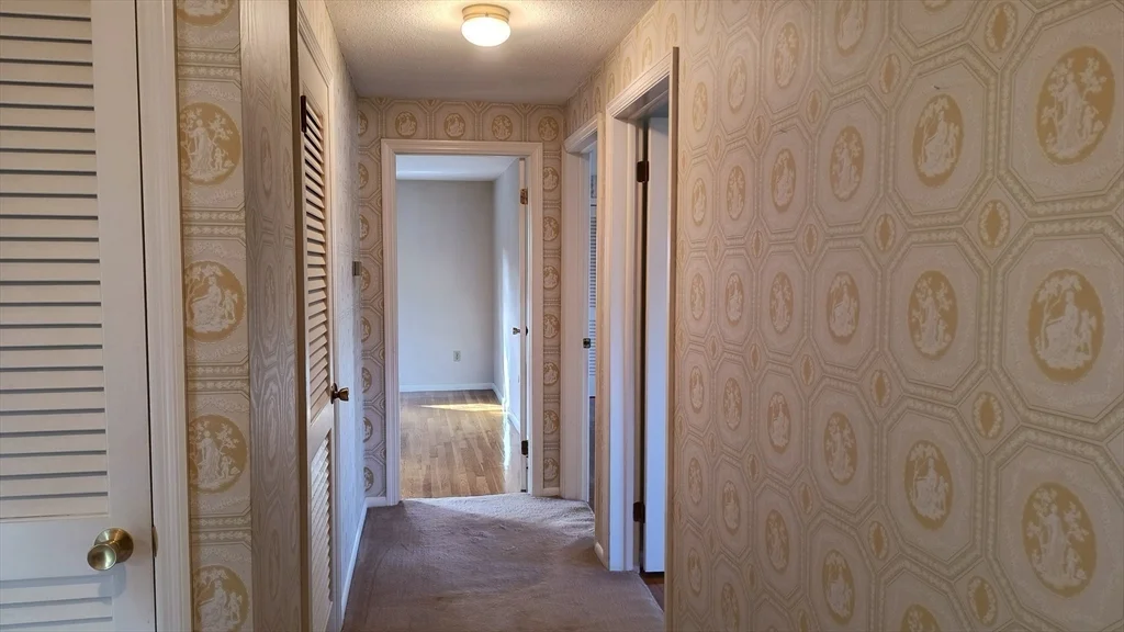 6 Streeter Rd, Paxton