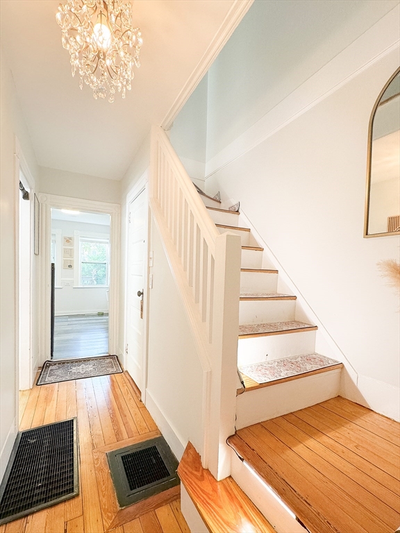 27 Shirley St, Lexington