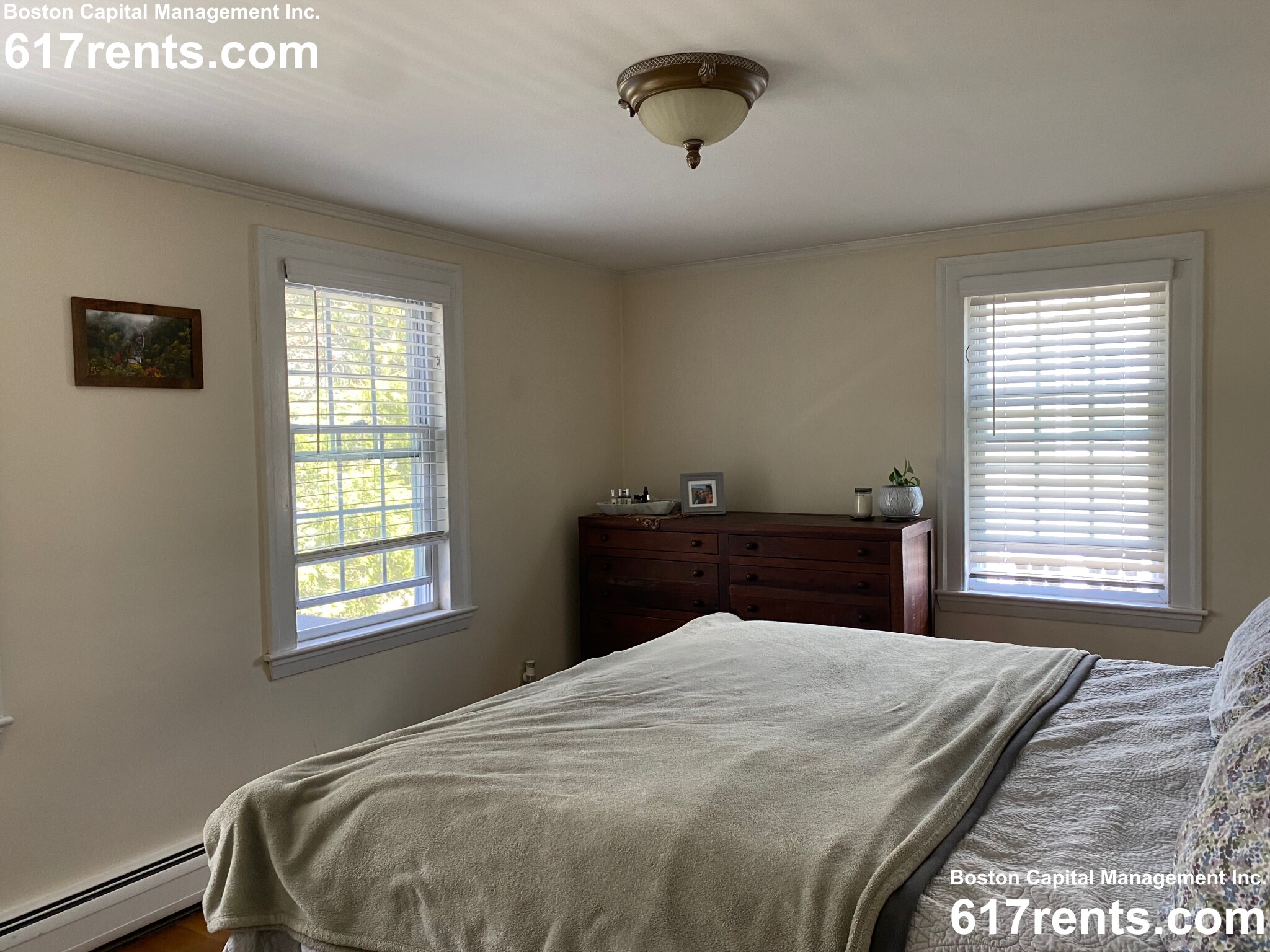 22 Cleveland Rd, Wellesley