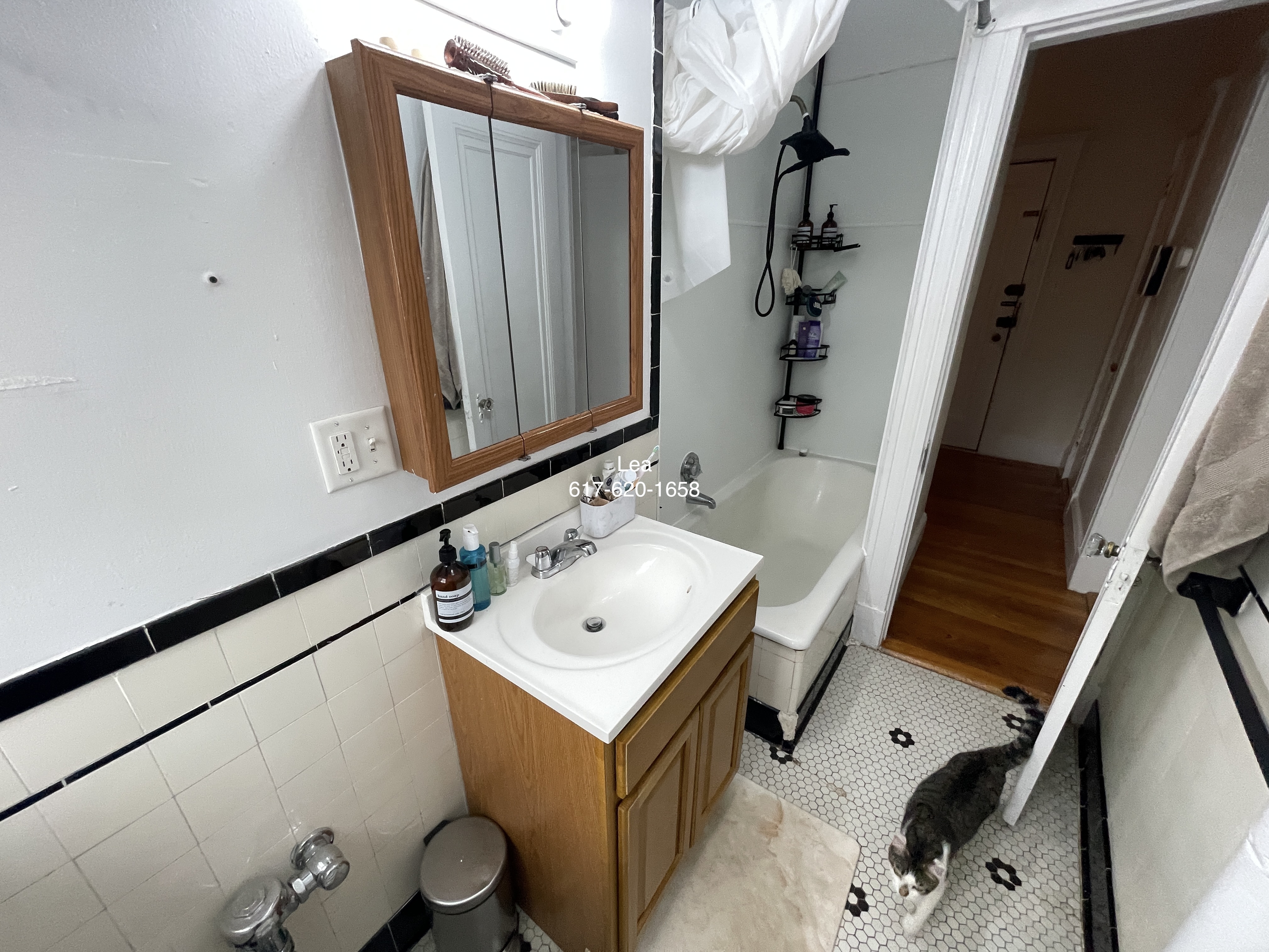 1800 Commonwealth Ave, Brighton