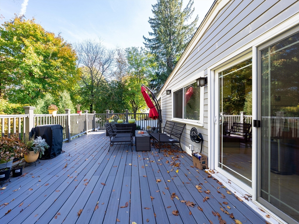 11 Mildred Rd, Newton